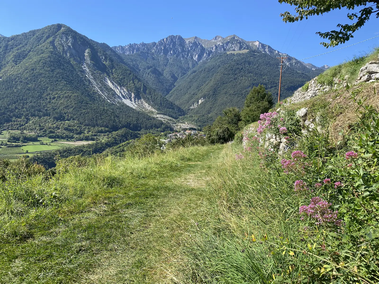 A mown grass track runs along a hillside above a village, past red valerian on a stone bank, facing a mountain scarred with pale scree.