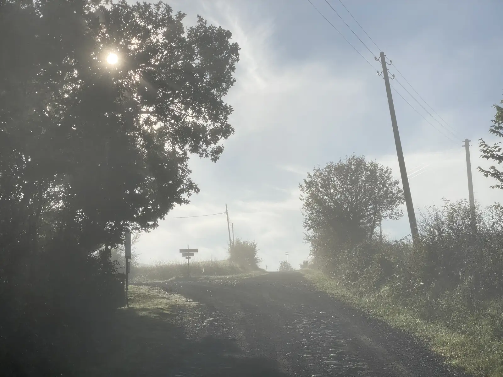 Low morning sun breaks through trees above a cobbled track past a small signpost and power poles wreathed in mist.