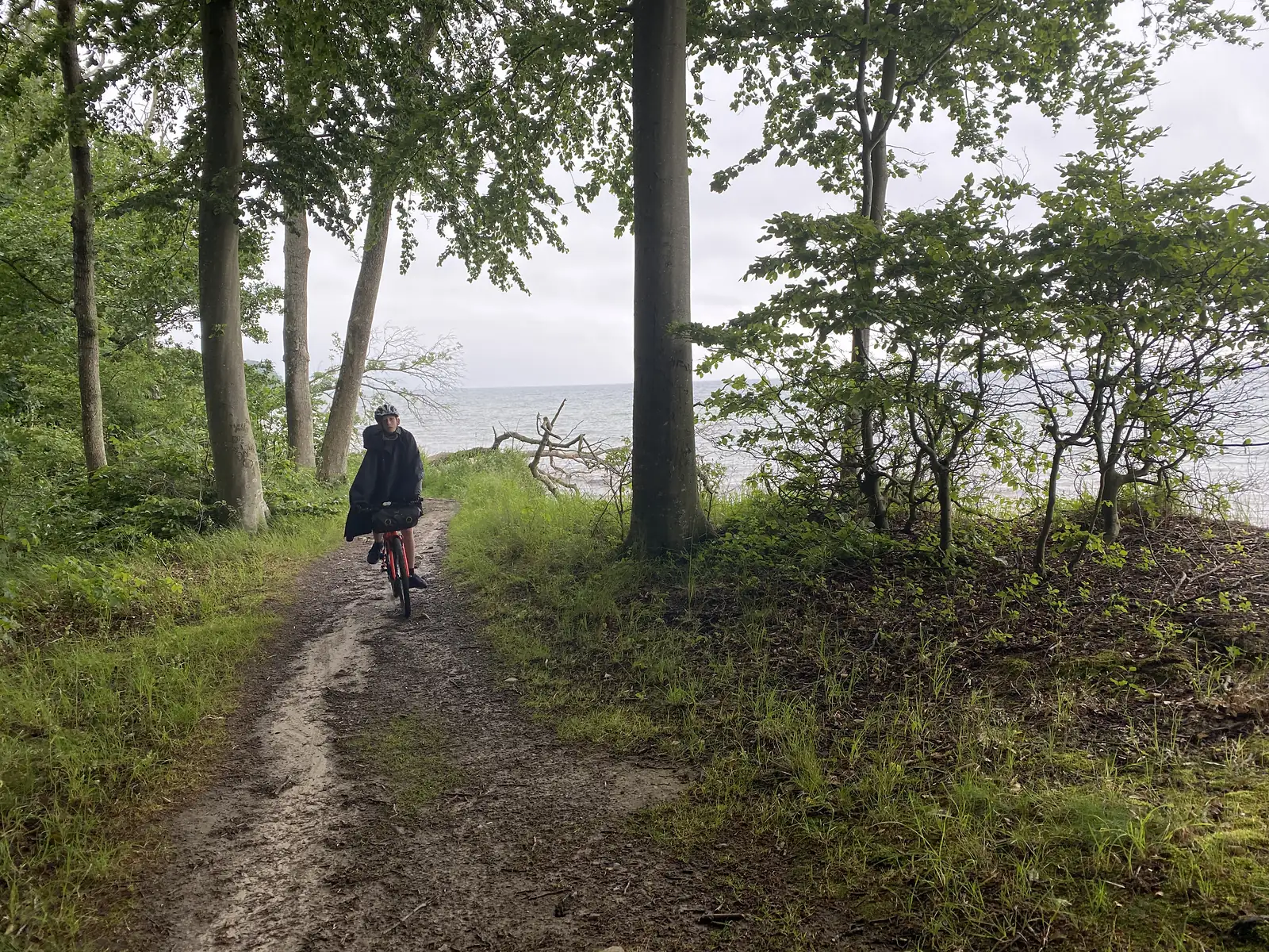 A young cyclist in a black rain poncho riding a loaded red bike along a muddy woodland track beside a grey sea.