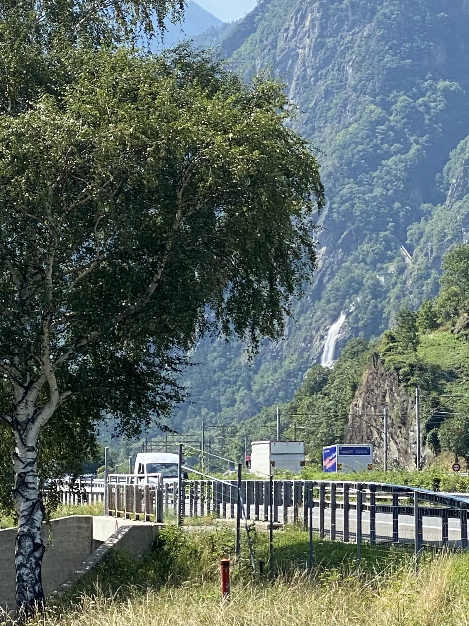 A slender birch frames a view down to a road and rail line running along a steep, forested valley, with a thin waterfall cascading down the cliffs beyond.