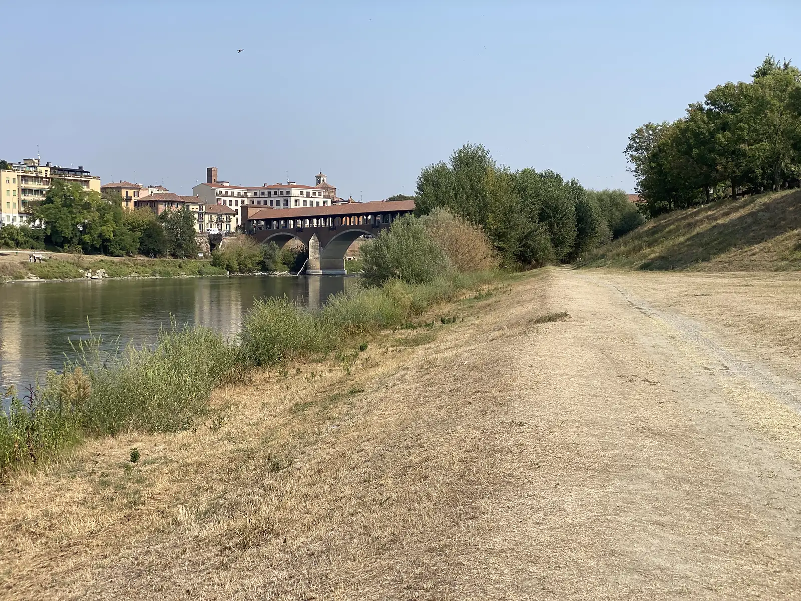 Pavia's covered bridge, the Ponte Coperto, spans the river ahead, its brick arches and tiled roof rising above a riverside path lined with trees.