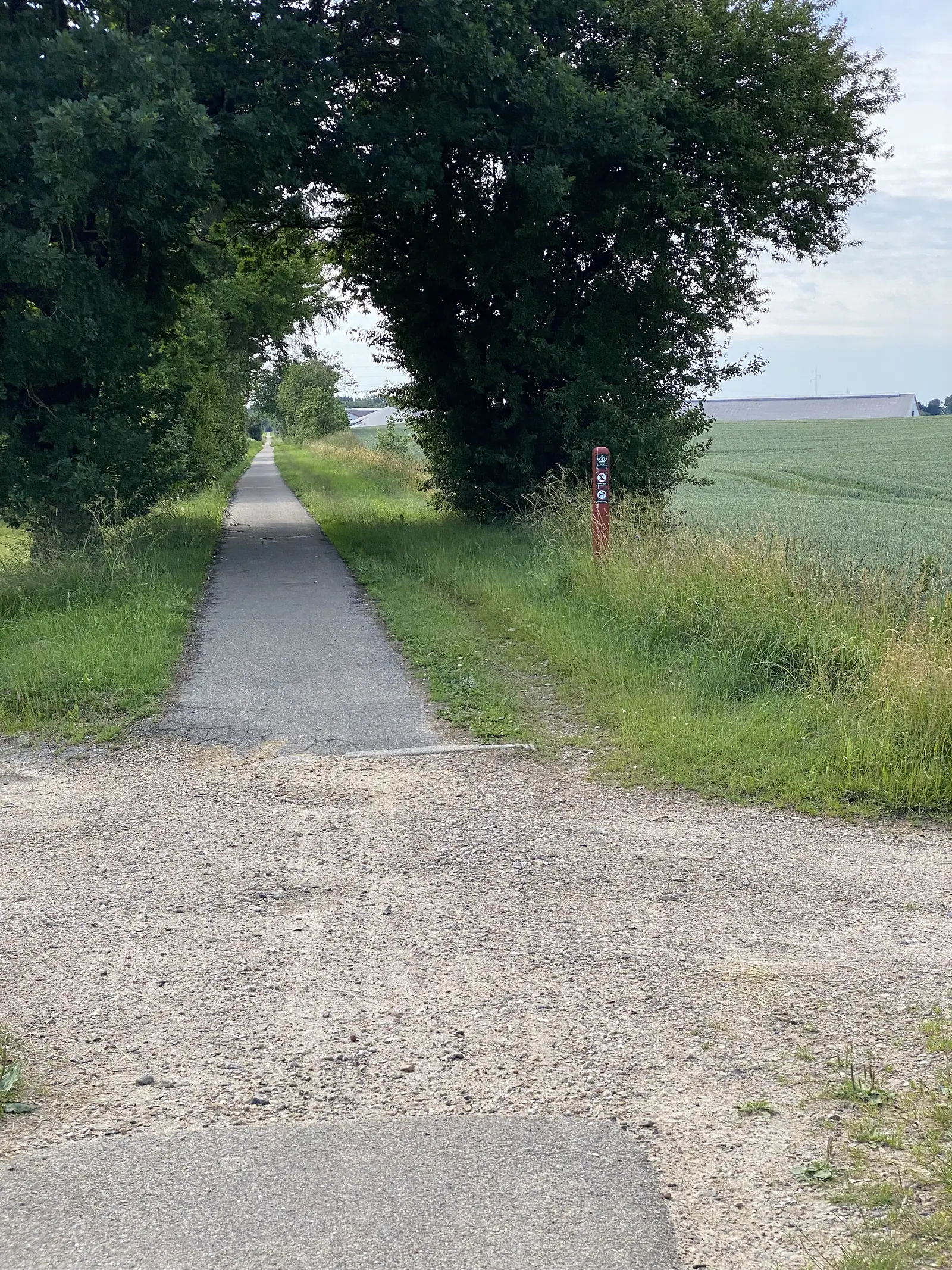 A narrow asphalt cycle path running away between hedgerow trees and a green cereal field, with a red waymark post at the junction.