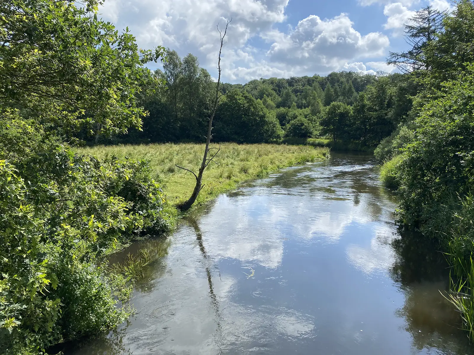 A slow river curving between wooded banks and reedy meadow, reflecting a sky of white cloud.