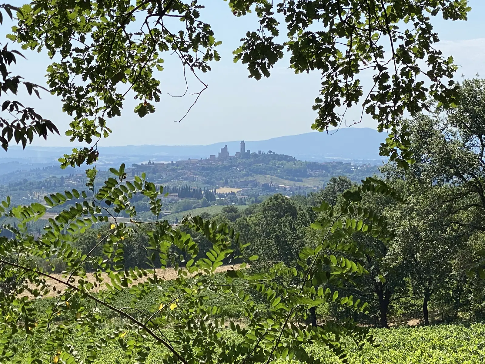 A hill town bristling with medieval towers is glimpsed through overhanging oak branches, with hazy hills stretching behind it.