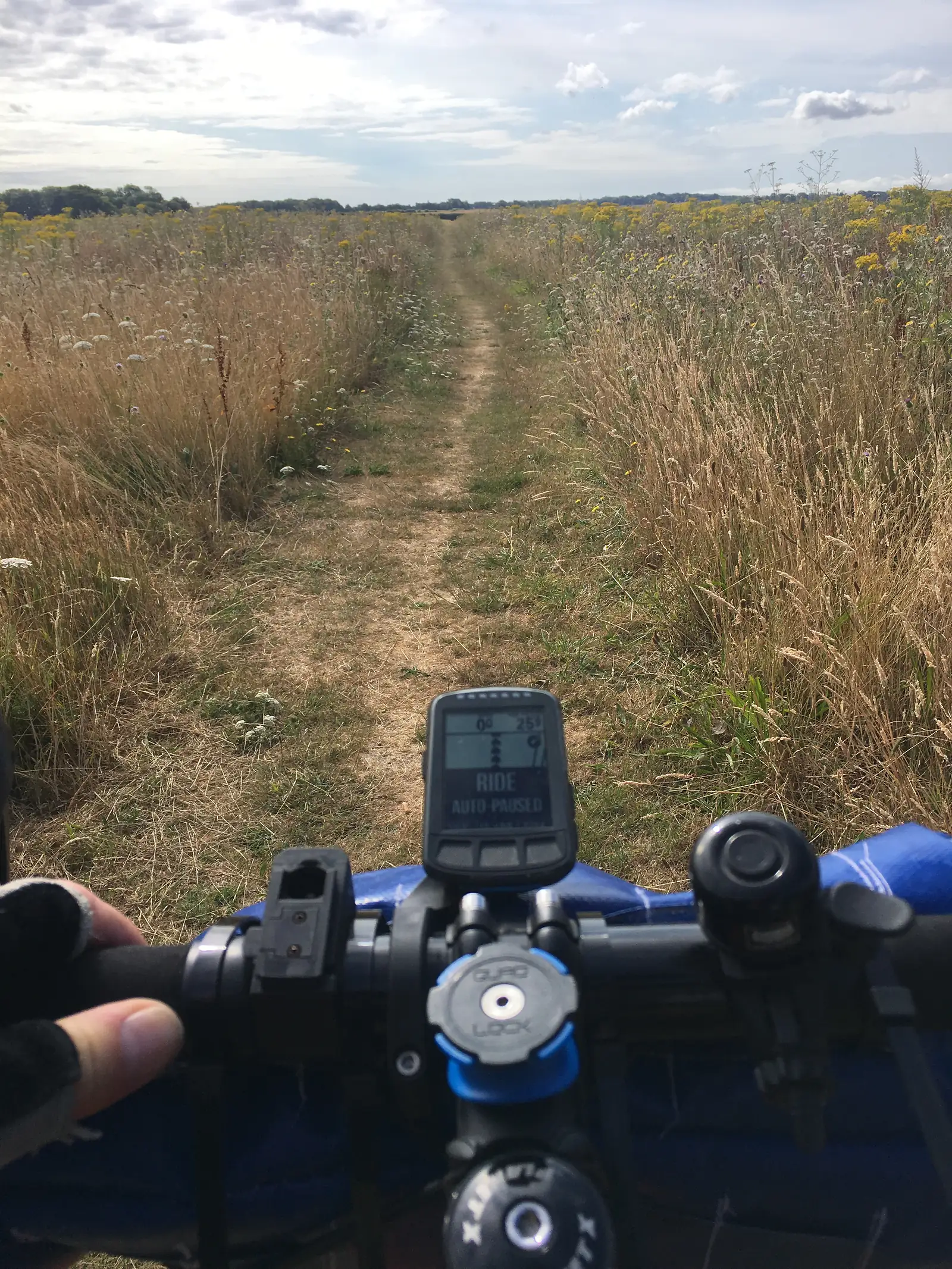 Another path through a field