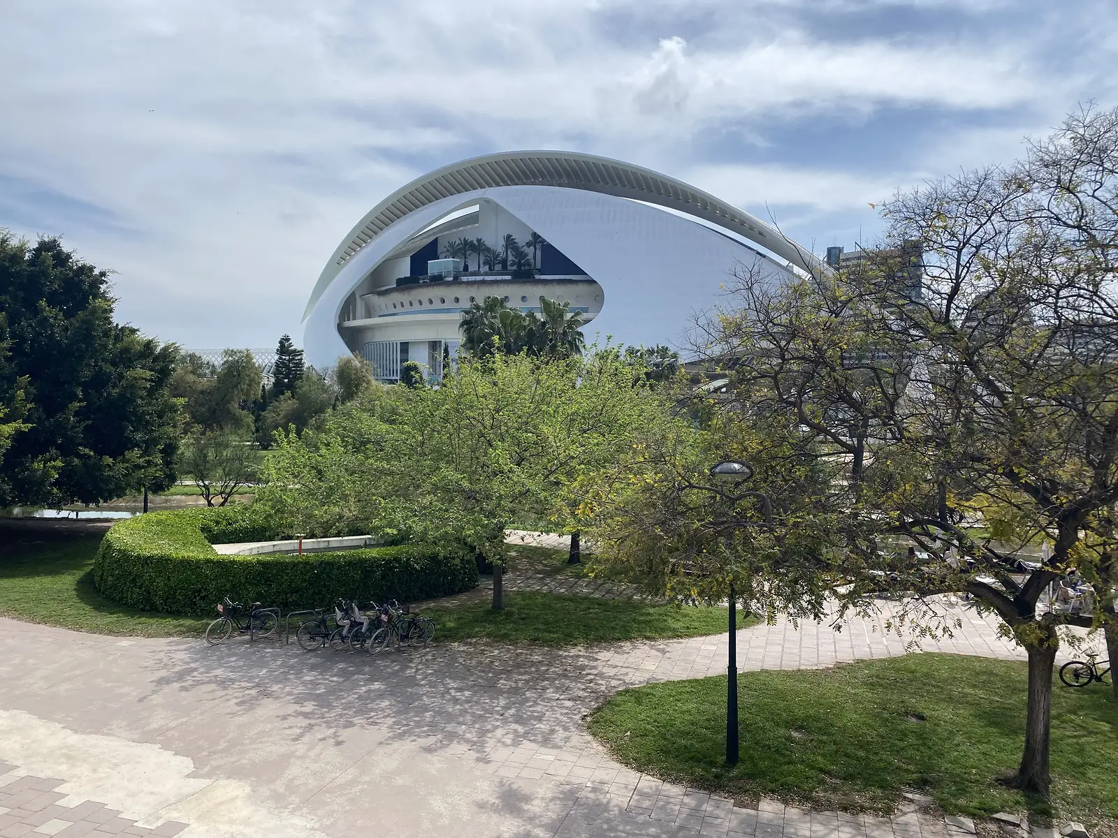 A white shell-shaped opera house under a sweeping curved canopy, seen across a landscaped park with bike racks.