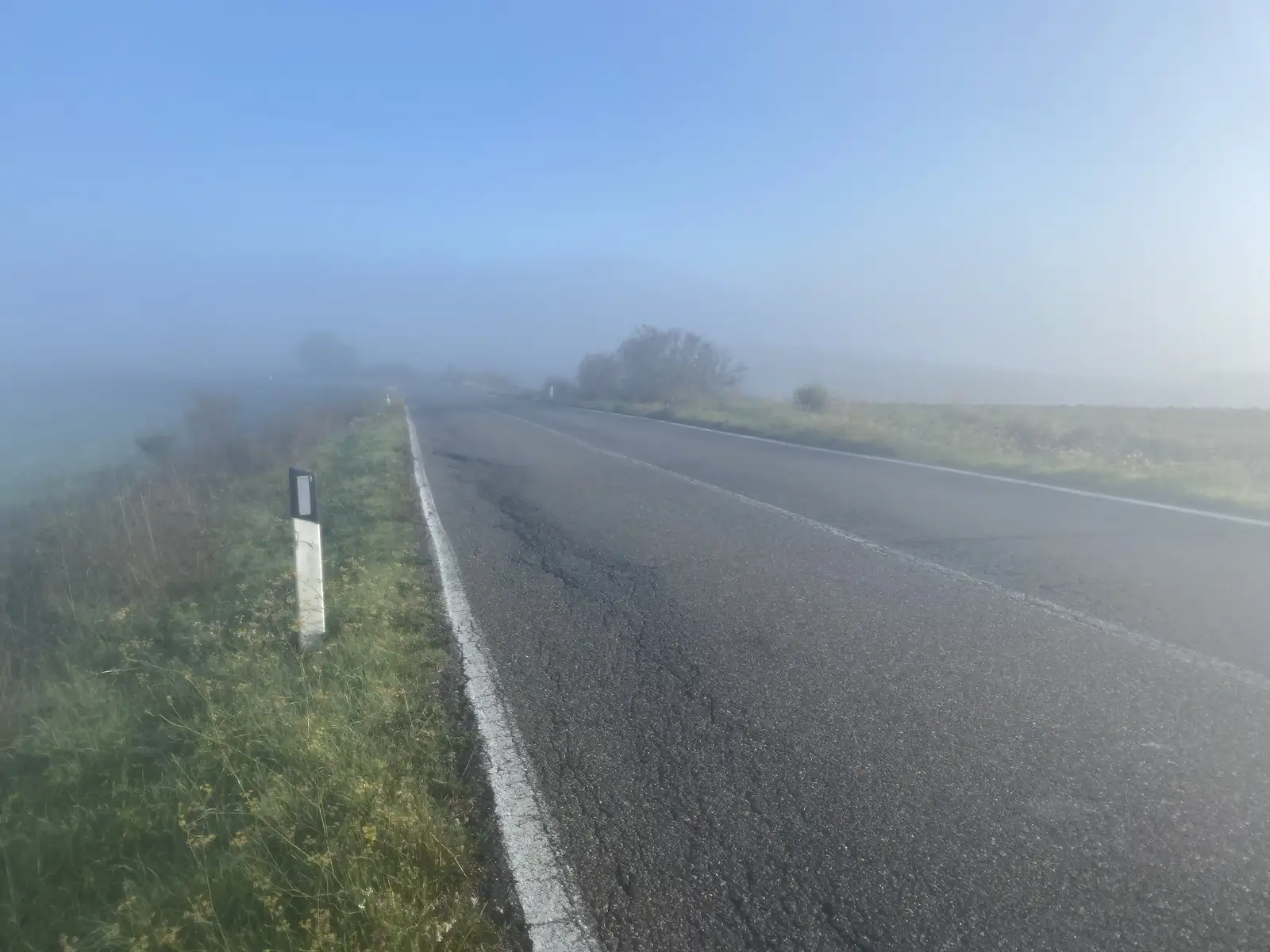 A quiet tarmac road bordered by grass verges, disappearing into a bank of fog under a clear sky above.