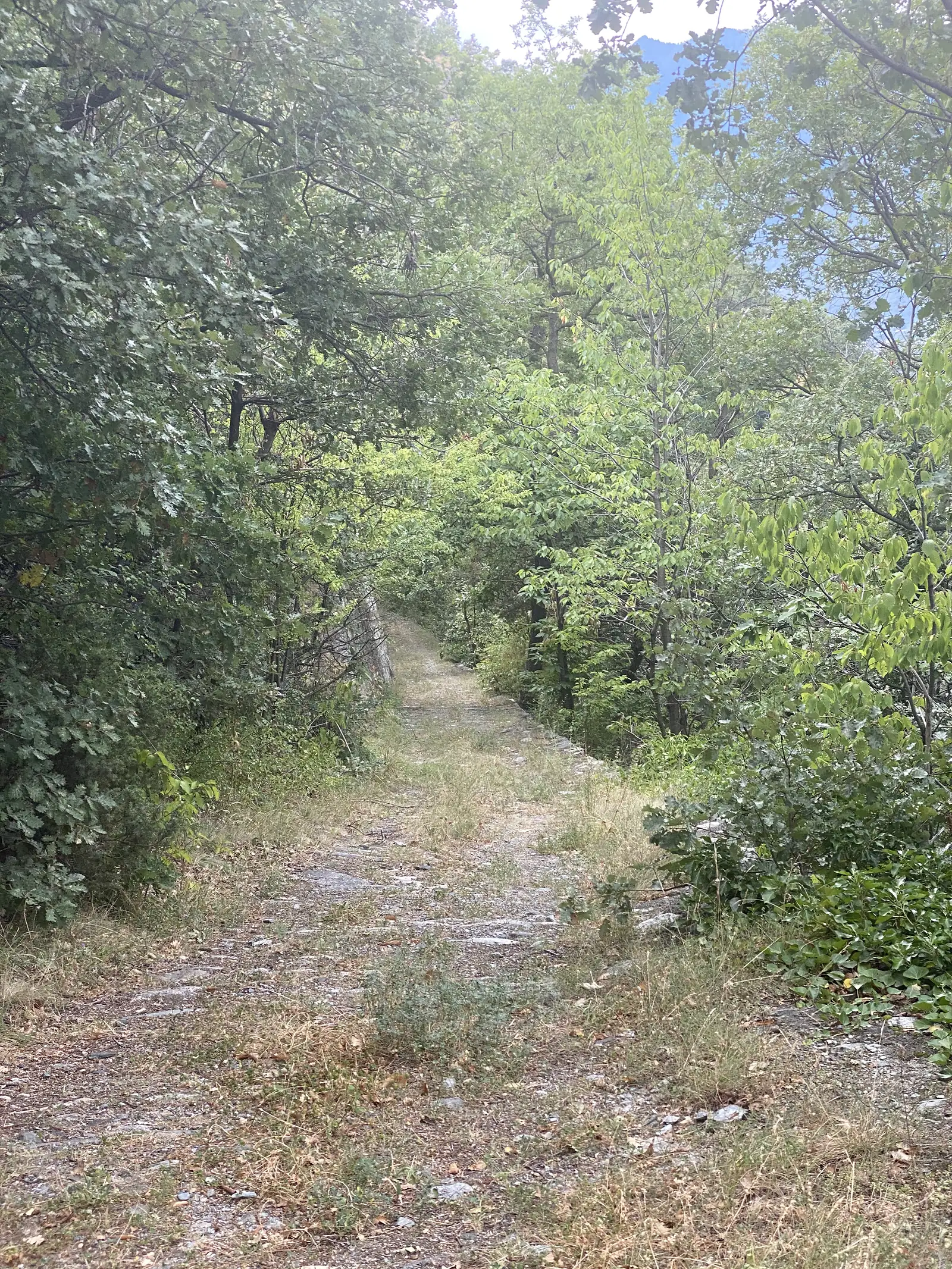 A narrow stony path shaded by a canopy of trees, bordered on one side by a low dry-stone wall.