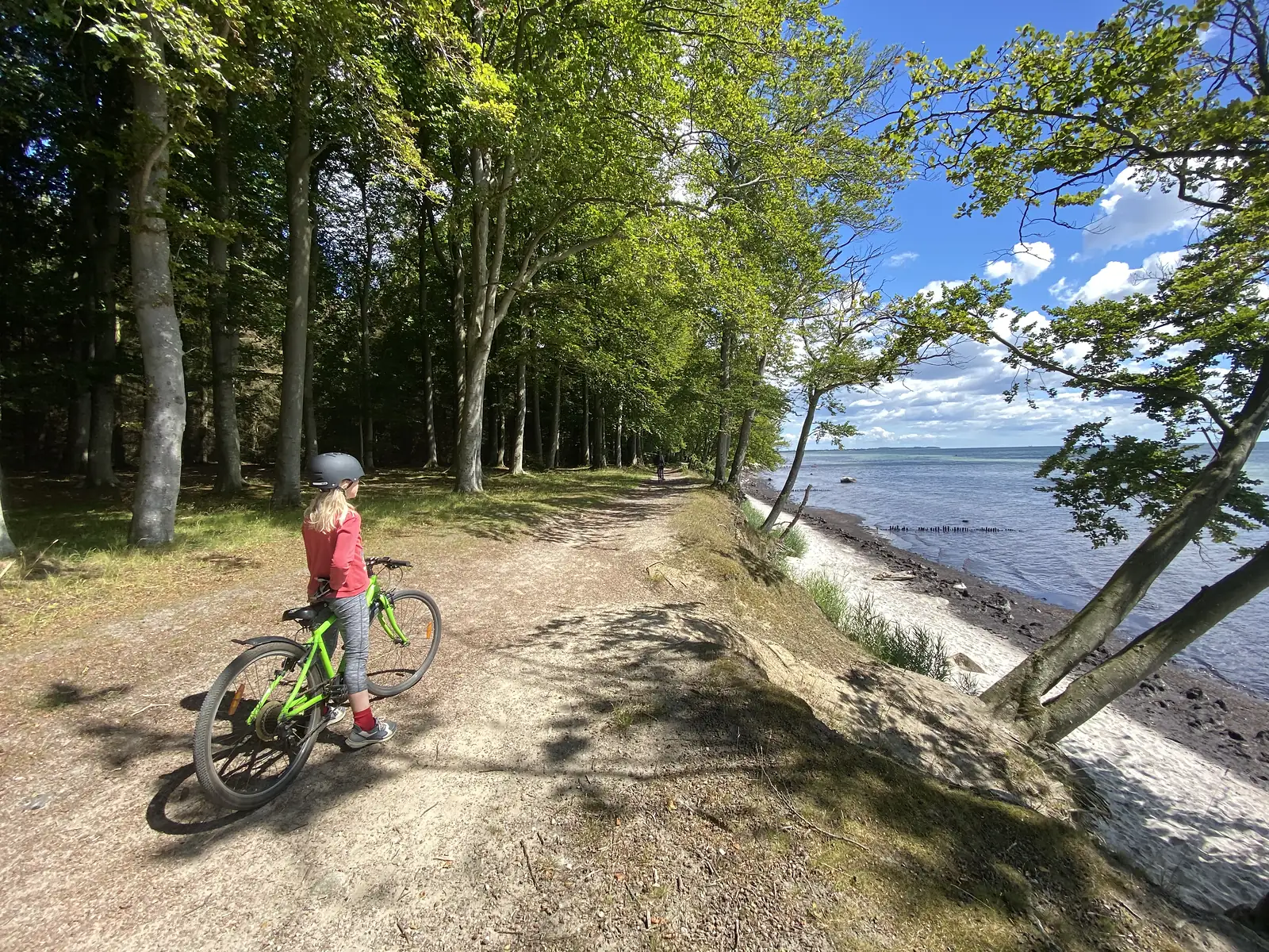 A child in a red top on a green bike pausing on a sandy path through beech woods above a shingle beach and blue sea.