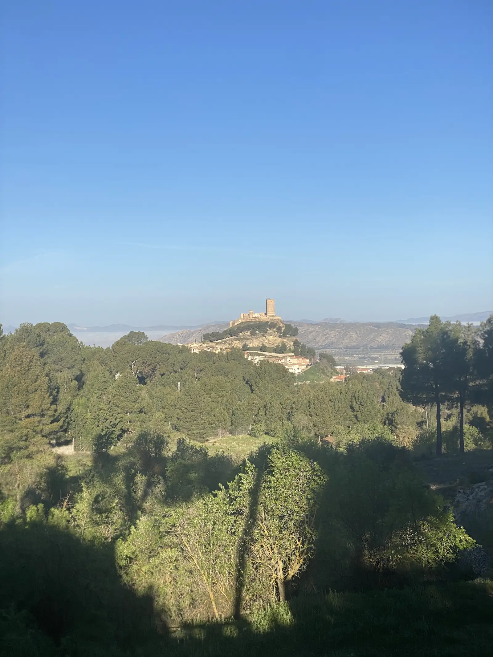 A hilltop castle keep above an ochre town on a wooded ridge, seen across pine woods with hazy mountains beyond.