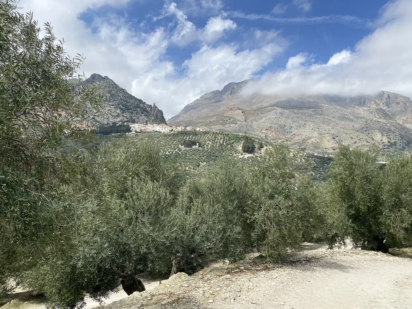 A white village strung along a mountainside above olive groves, with cloud spilling over the bare rocky ridge behind it.