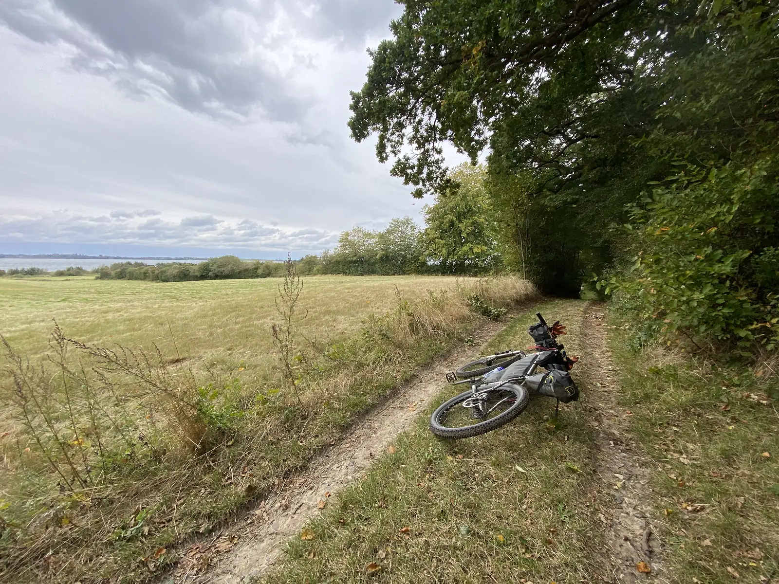 A loaded bikepacking bike laid on a grassy double-track at the edge of a mown field, with oaks overhead and the sea beyond.