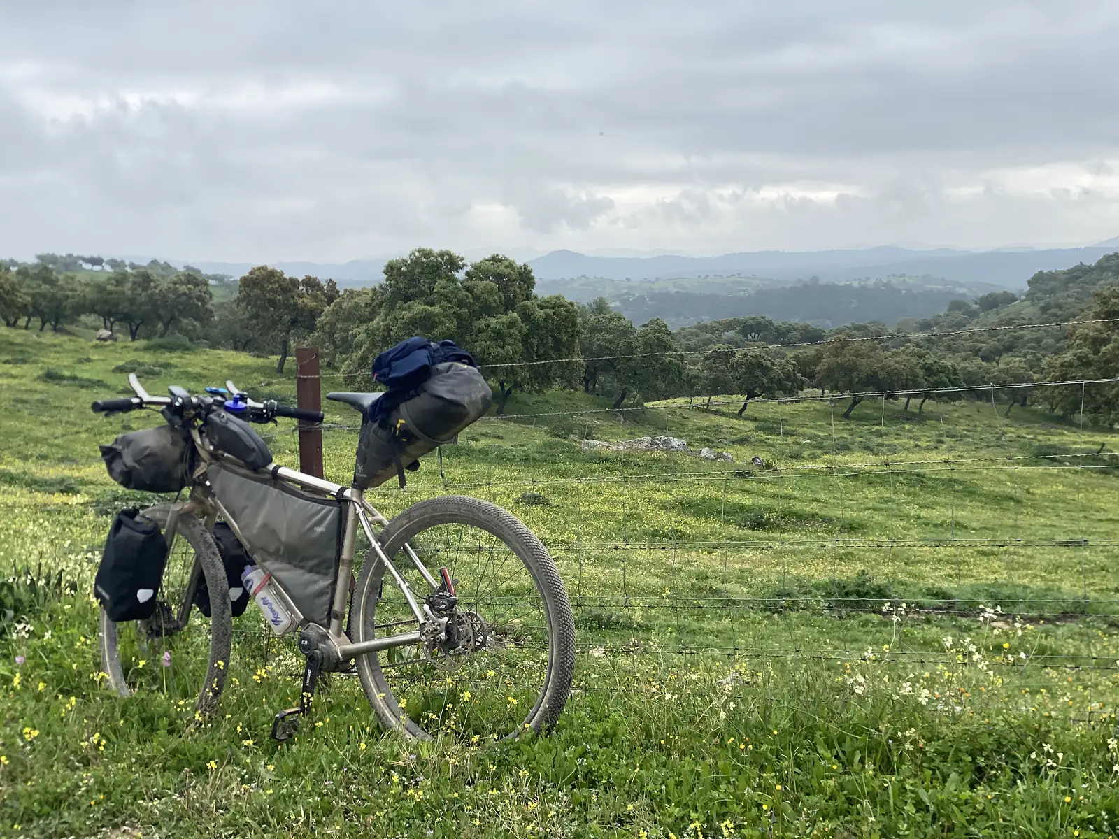 A loaded bikepacking bike propped against a wire fence in a pasture speckled with yellow flowers, holm oaks and hazy hills stretching behind.