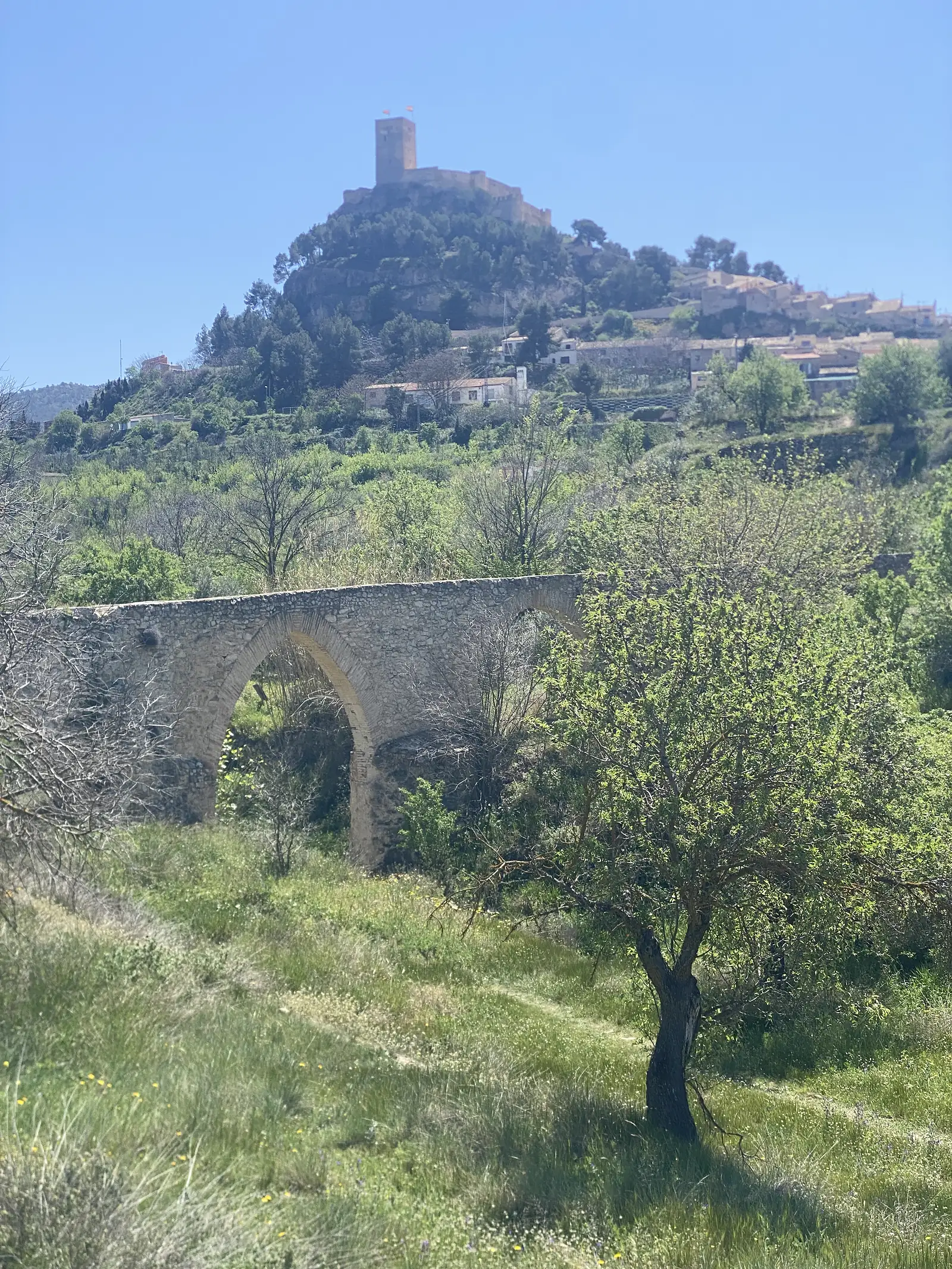 An old single-arched stone bridge in rough meadow below a hilltop castle keep and an ochre town spread along a wooded ridge.
