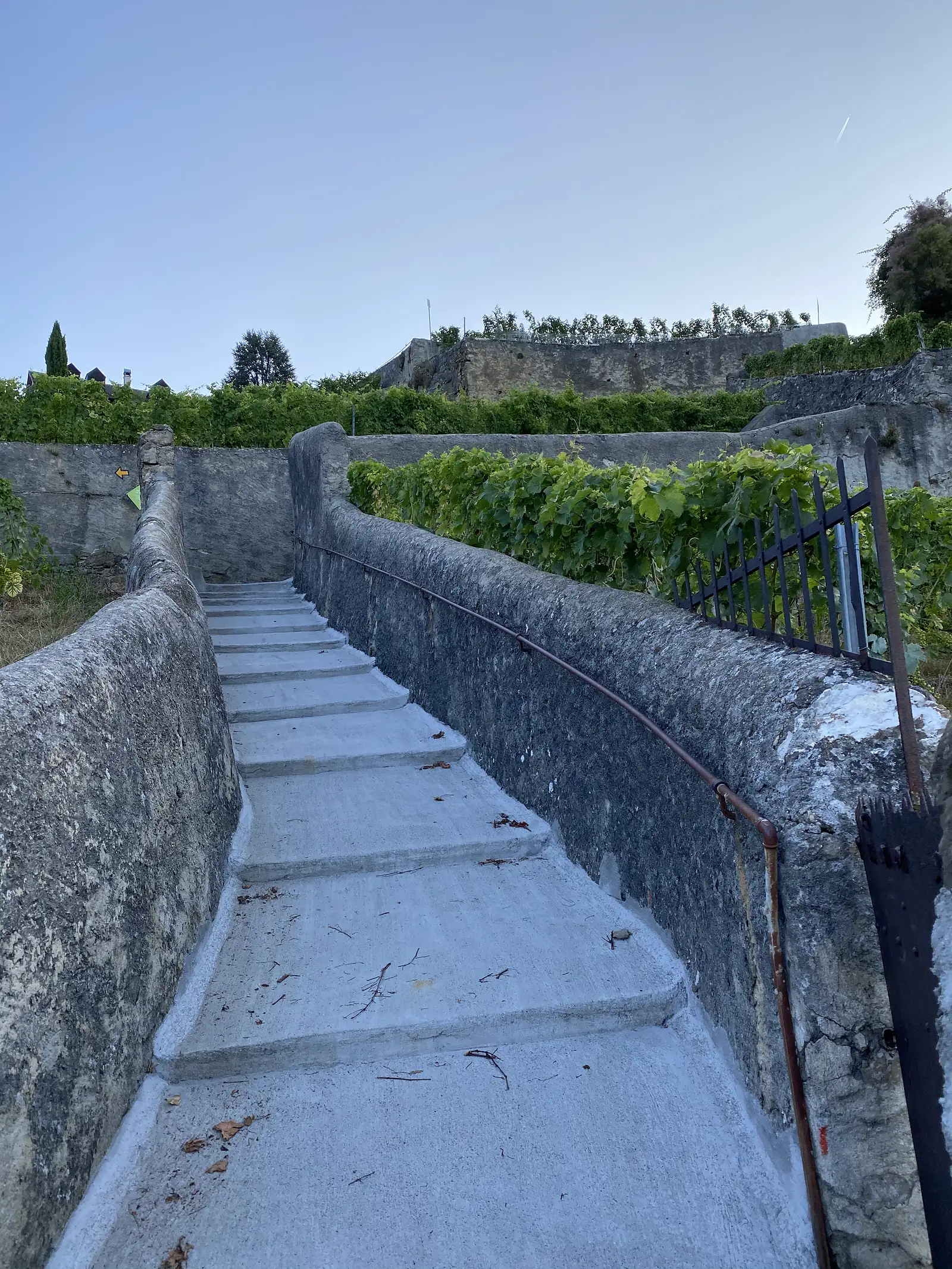 A stone-walled stairway climbing between vineyard terraces, with a rusted handrail following the steps upward.