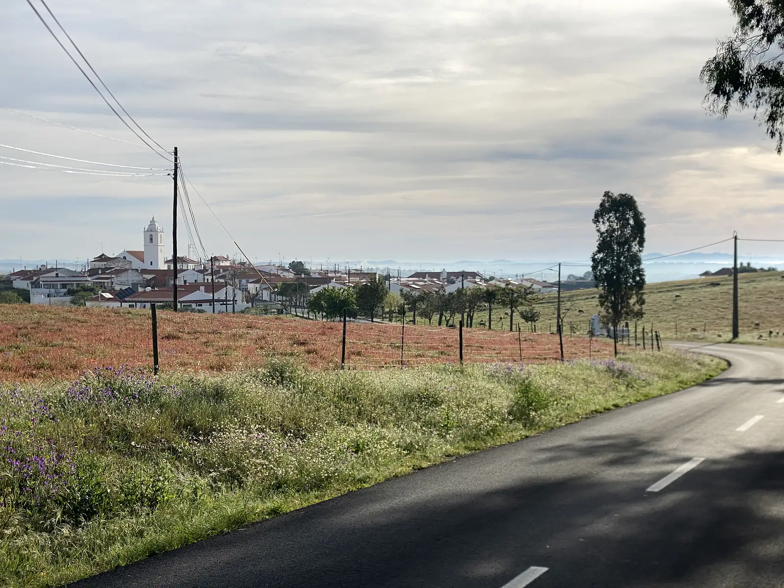 A quiet country road curving past a fenced field of red-tinged grass and purple wildflowers towards a low white village crowned by a church bell tower.