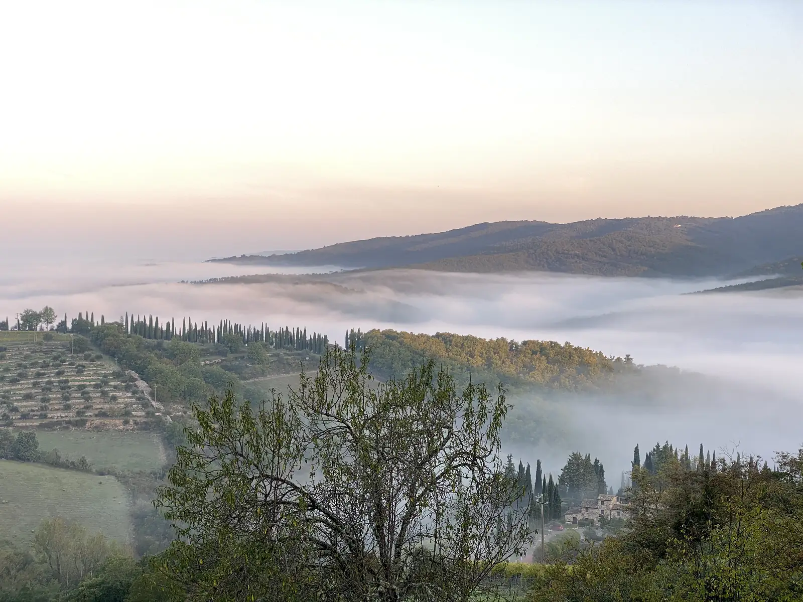 A stone farmhouse among cypress trees at the edge of a fog-filled valley, with terraced olive groves on the hillside above.