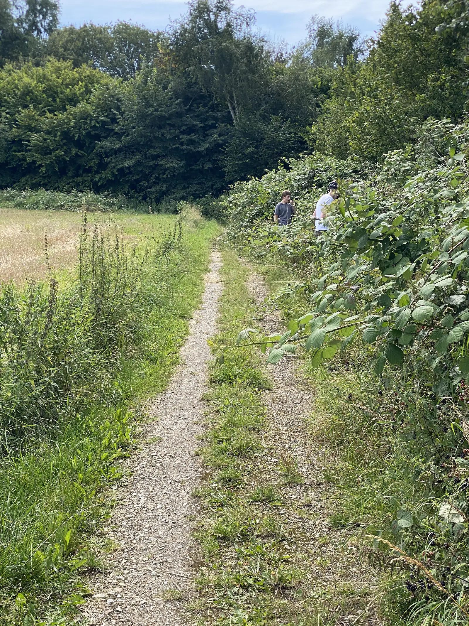 A narrow grass-centred track between a stubble field and a bramble hedge, with two people picking blackberries ahead.