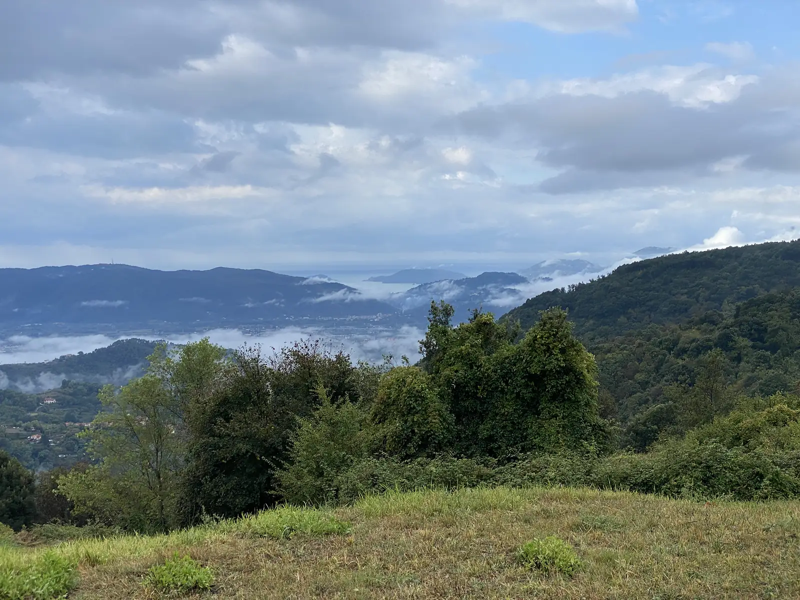 A cloud-filled valley and a hazy stretch of coastline seen from a grassy hilltop clearing, framed by wooded hills on either side.