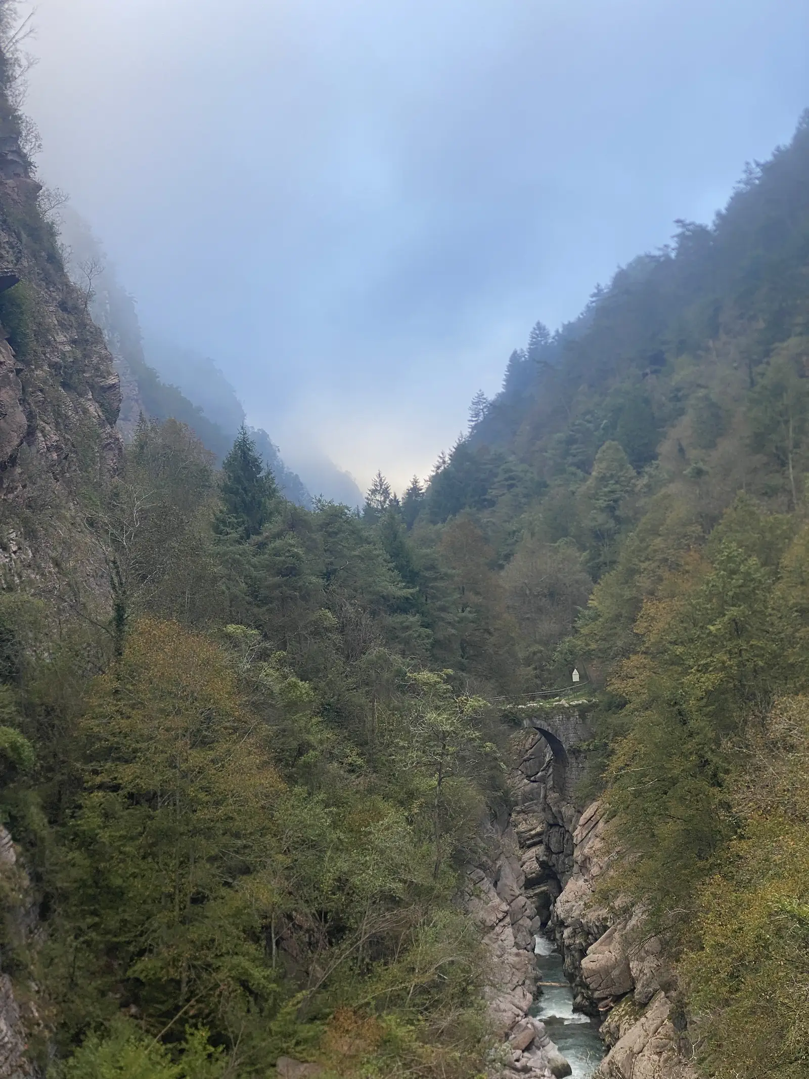 A single stone arch bridges a narrow rocky gorge far below, cloud spilling over the forested walls on either side.