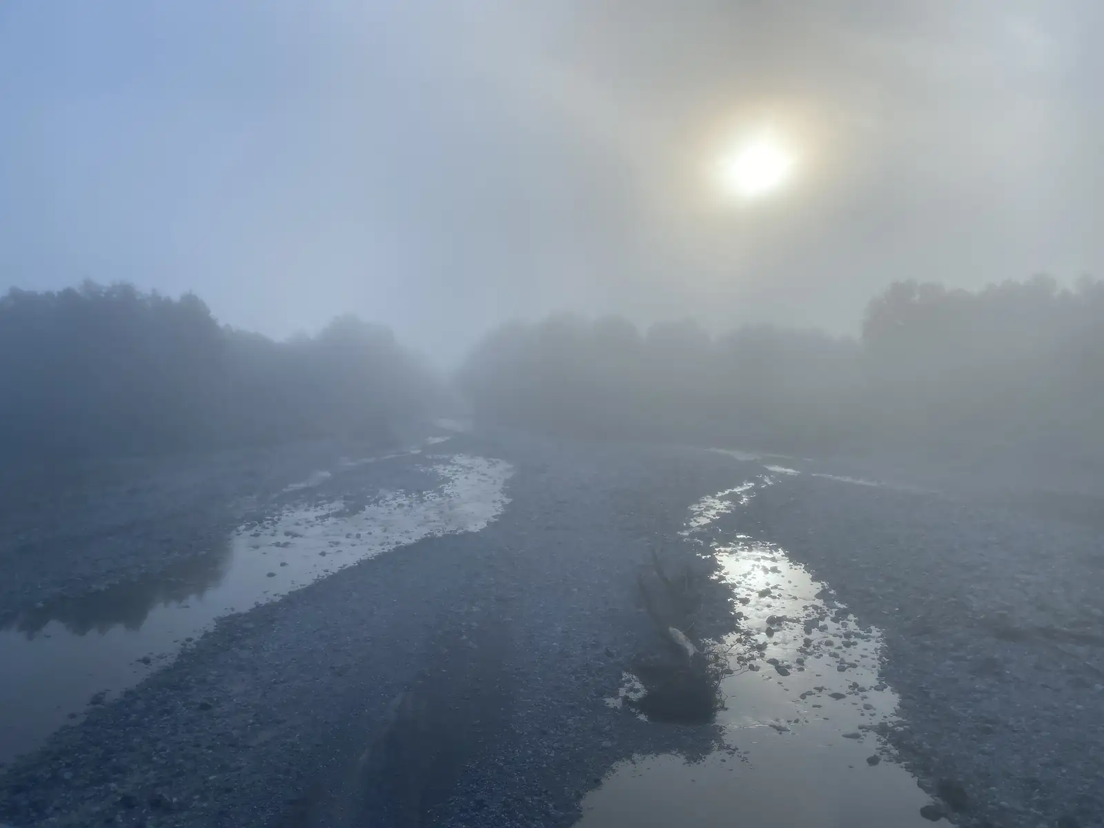 A shallow braided stream winding through a wide stony riverbed, fog cloaking the tree-lined banks under a pale morning sun.