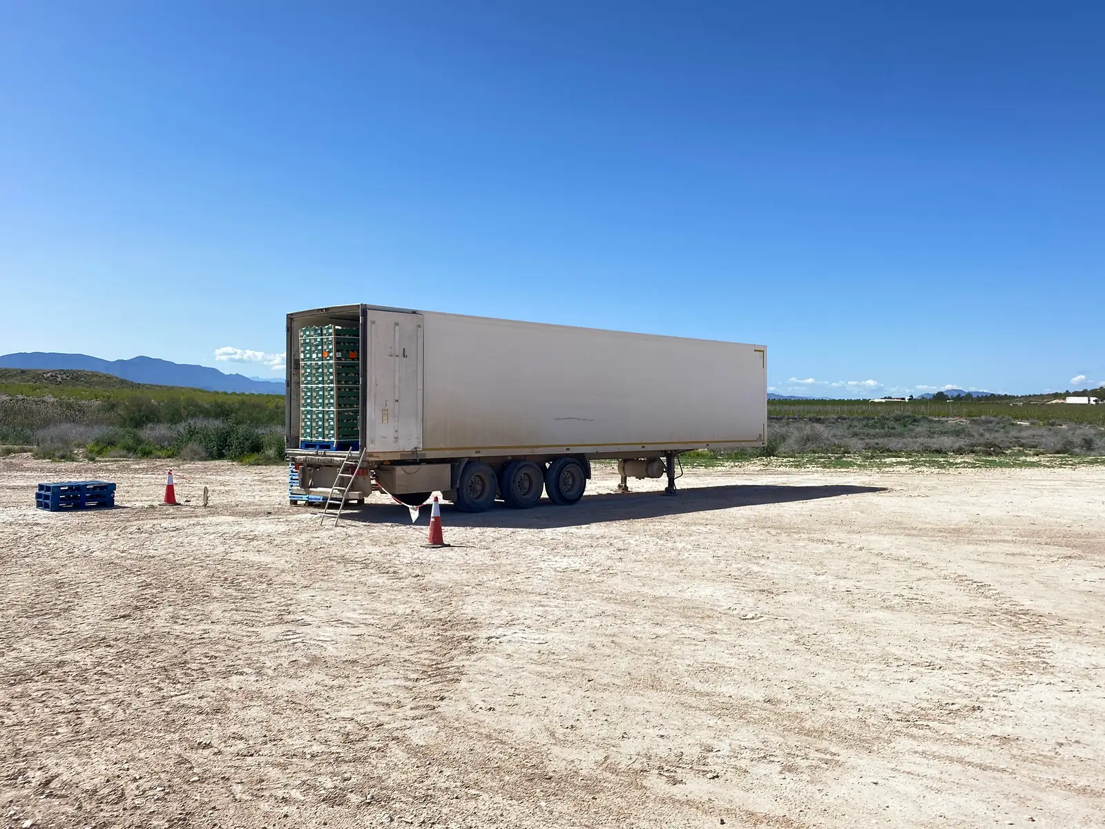 A refrigerated trailer standing alone on a bare earth apron, its rear doors open on stacked crates of produce, with traffic cones and pallets beside it.