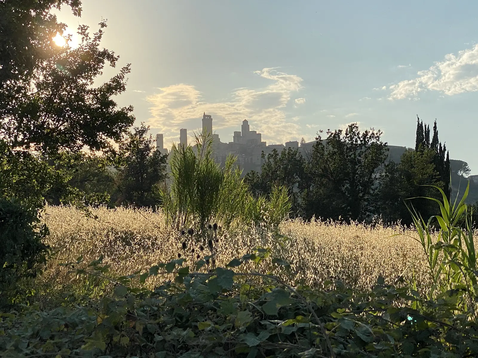 The sun sets behind a distant towered hill town, its silhouette rising beyond a field of golden grass and dark trees.