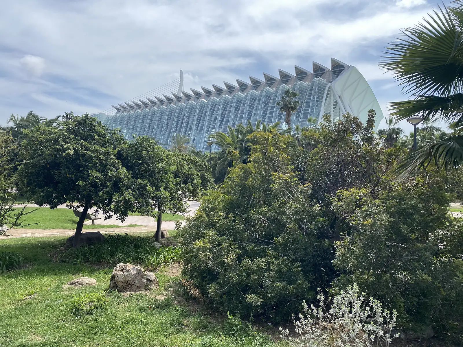 A vast glass and white concrete building with a ribbed, spined roof rising behind palms and orange trees in a park.