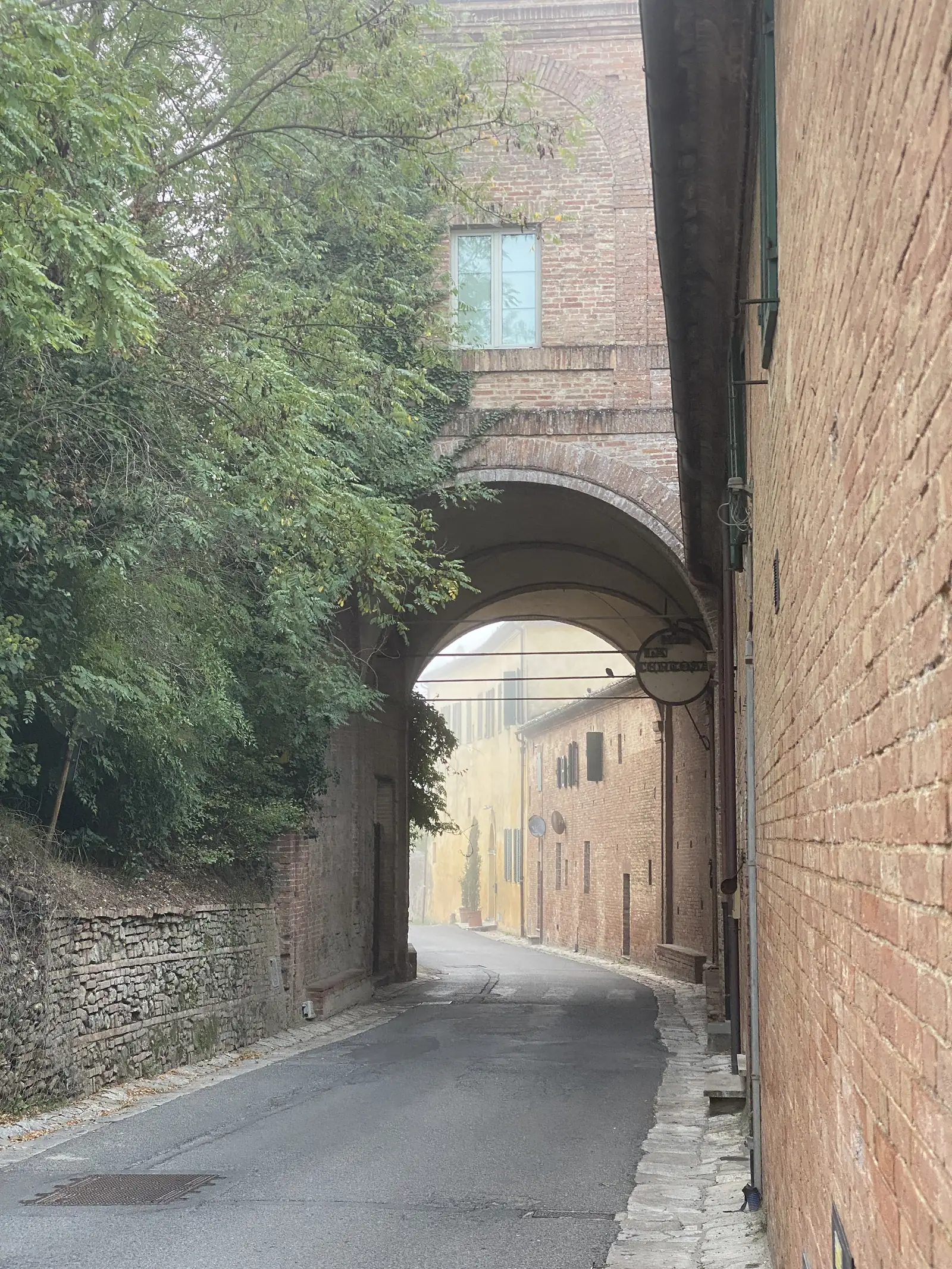 A covered brick passageway beneath a vaulted arch, overgrown with bushes, with a round traffic mirror mounted at its far end.