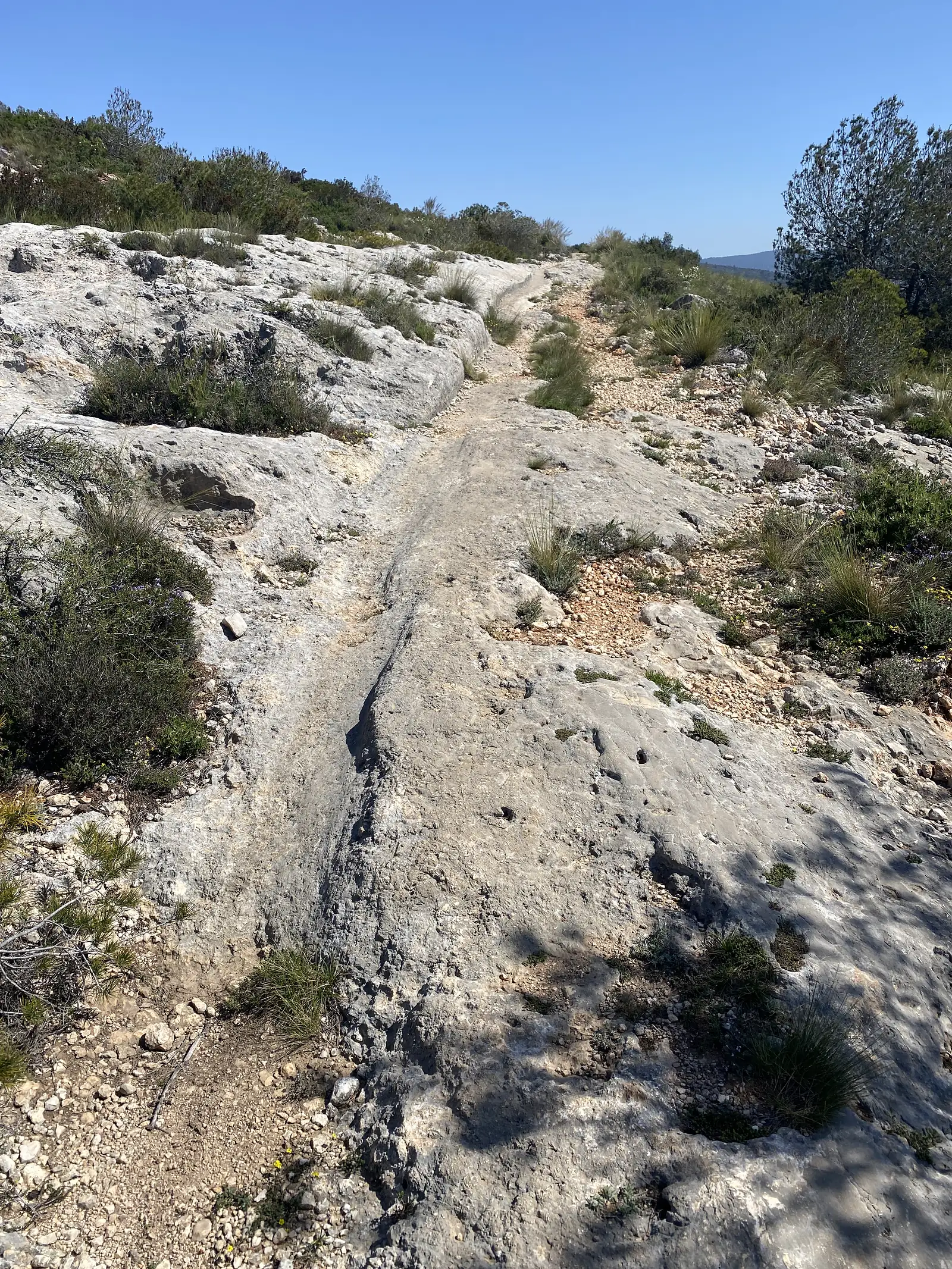 A narrow path worn as a deep groove into bare white limestone, climbing through low scrub.