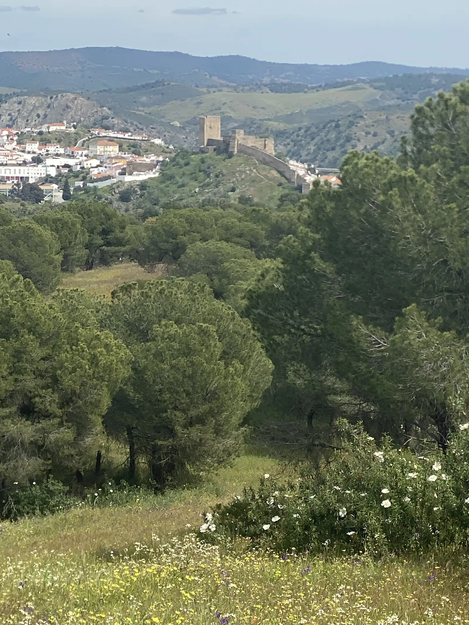 A square castle keep and its curtain wall standing on a hill beside a whitewashed town, seen across pine woods and a wildflower meadow.