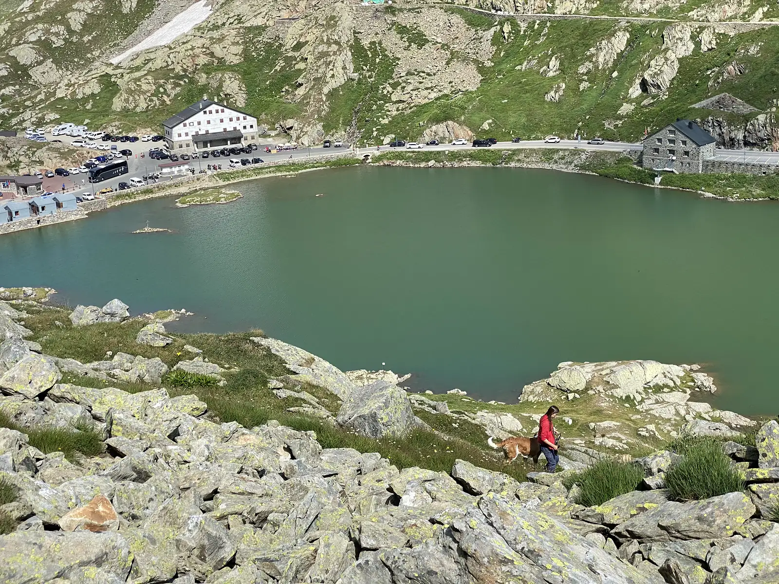 A woman walking a St Bernard dog along a rocky shoreline path above the green pass lake, with the hospice buildings and parked coaches beyond.