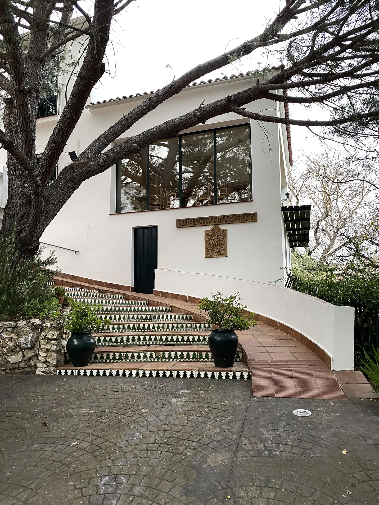 Tiled steps leading up to a black door beneath a sign reading "HOTEL GALAROZA SIERRA", with potted shrubs either side and pine branches overhead.