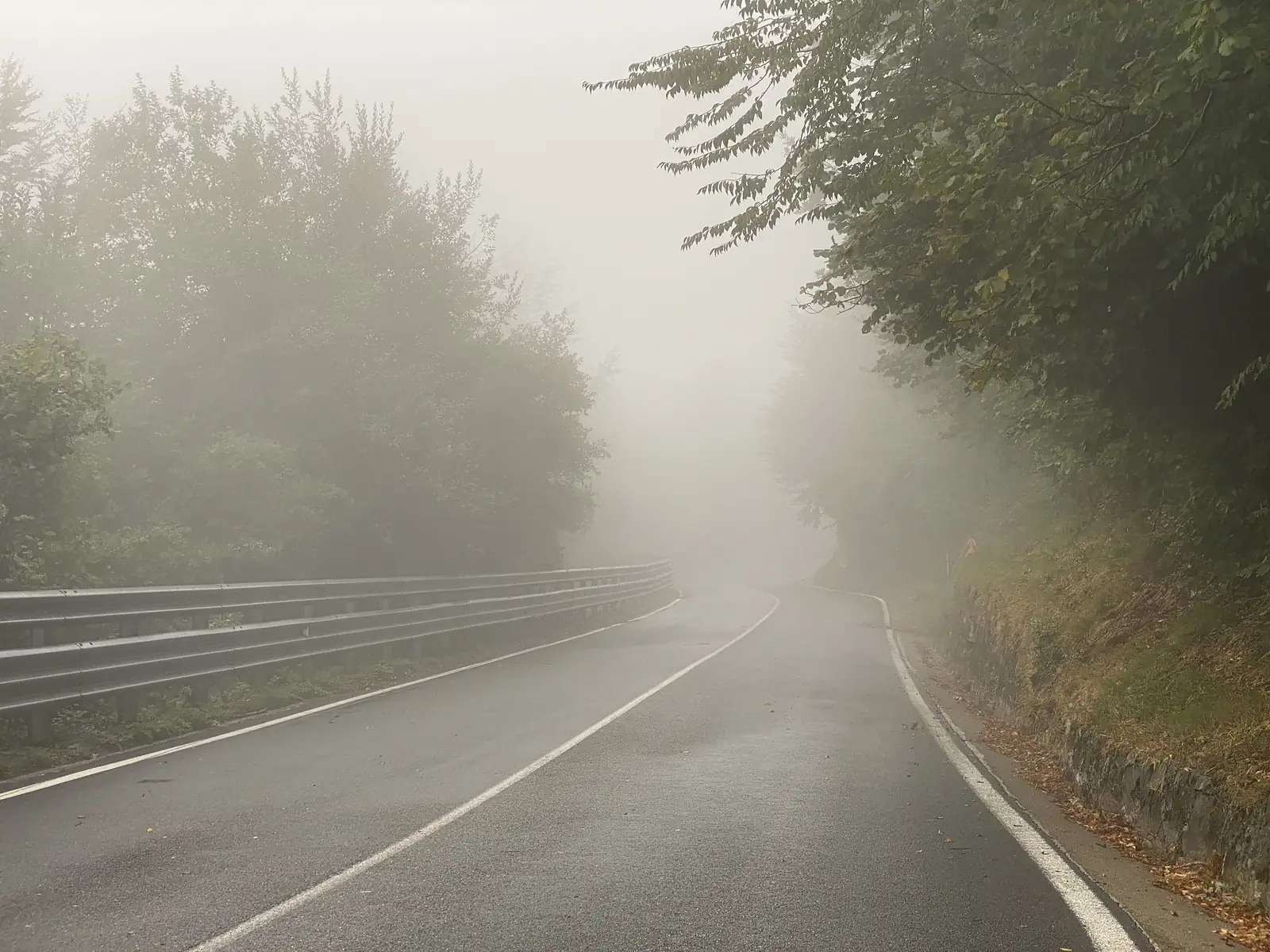 A quiet asphalt road curves away through dense fog, crash barriers lining one side and trees pressing in from both.