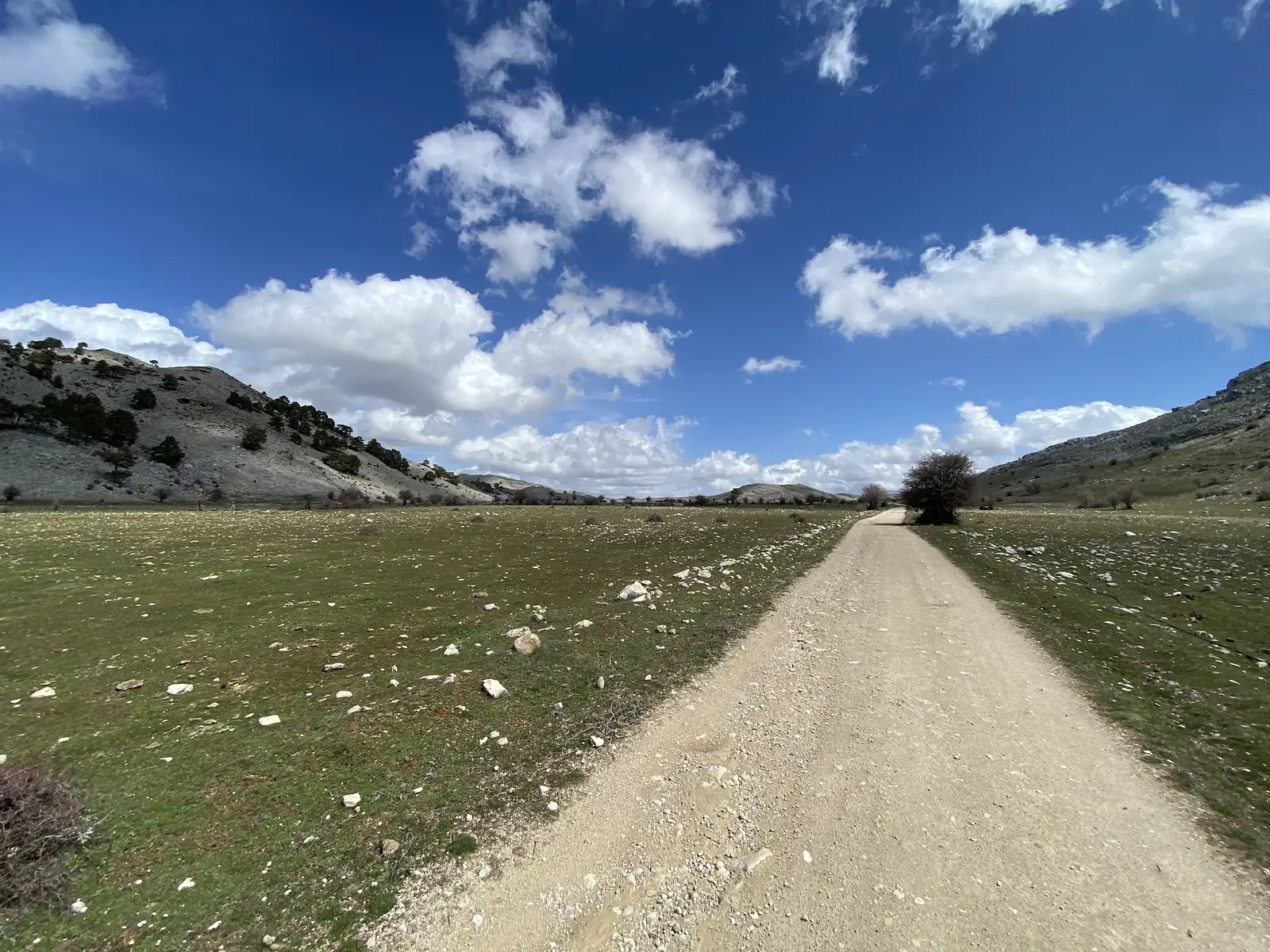 A gravel track running straight across wide upland pasture of grass and loose stone between bare limestone hills.