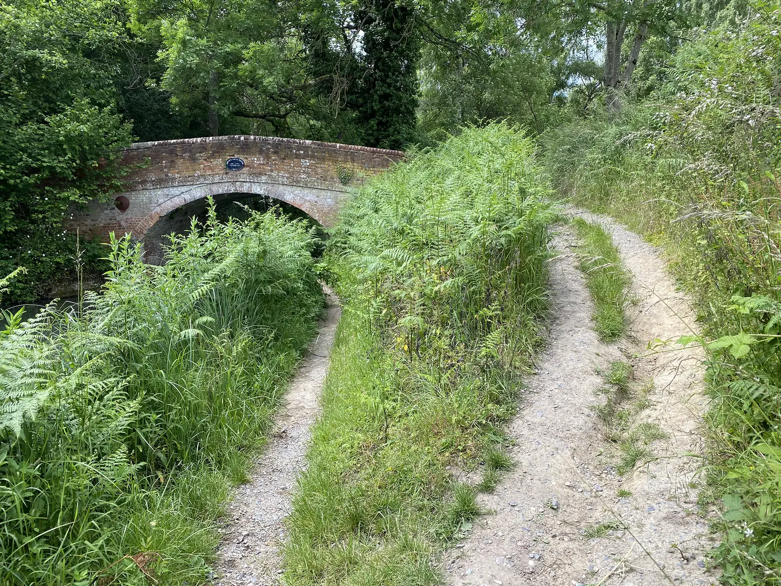 A brick canal bridge over a channel choked with bracken, with a chalky bridleway forking up past it.