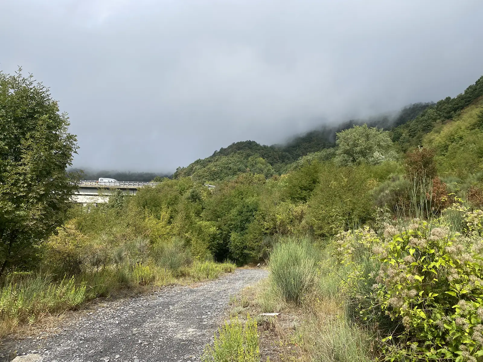 A gravel path leads towards a road bridge glimpsed through trees, low cloud clinging to the wooded hillside beyond.