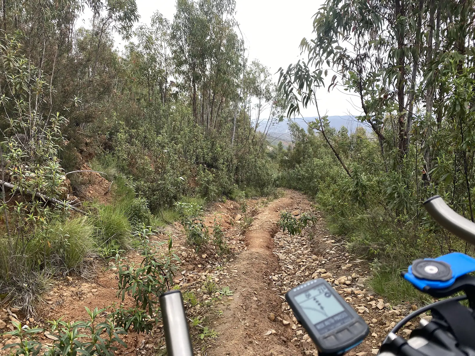 Rider's view over handlebars and computer down a deeply rutted, eroded track dropping through young eucalyptus scrub towards a hazy ridge.