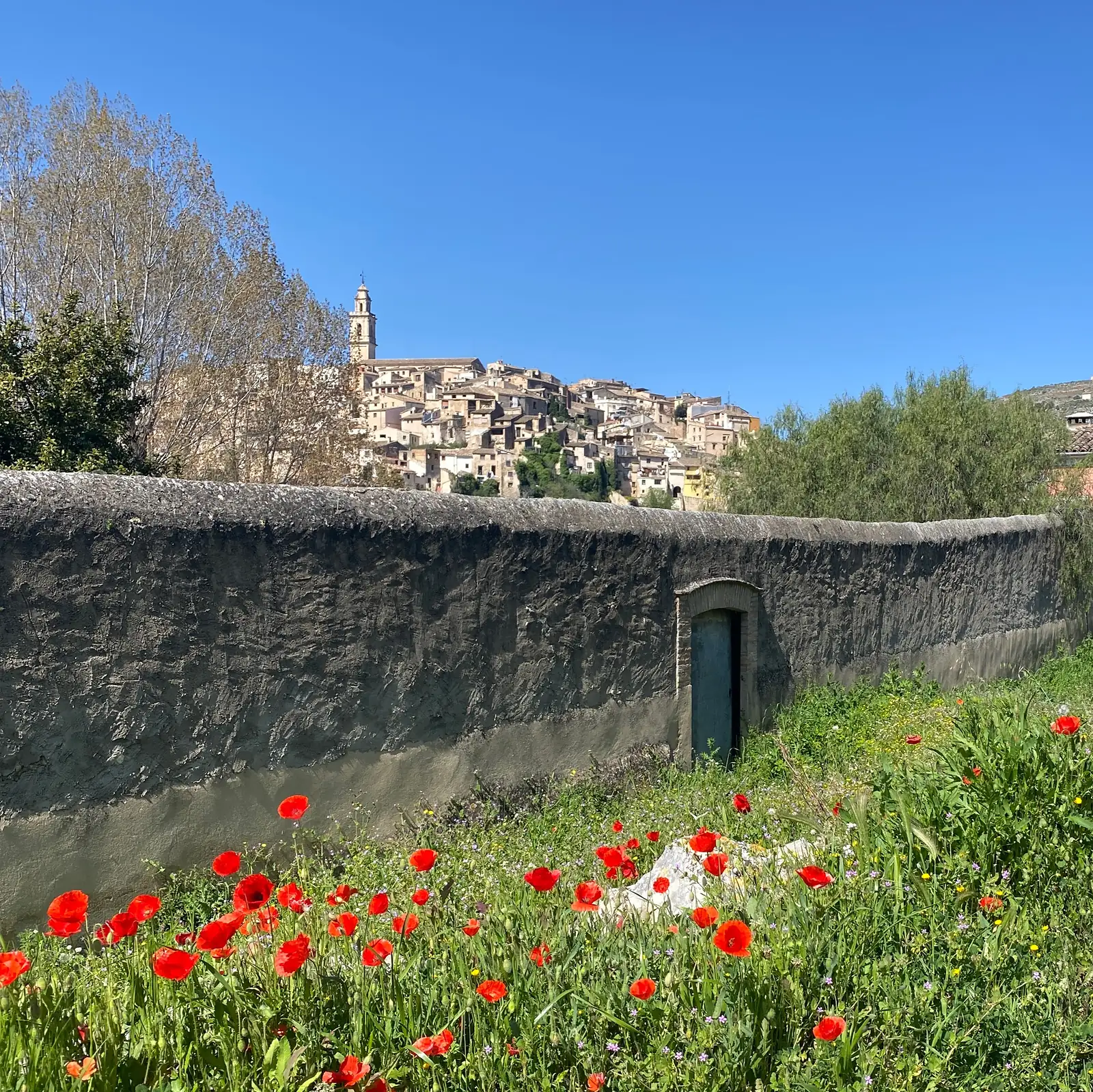 A stacked hillside town crowned by a bell tower, seen over a rendered retaining wall above a bank of red poppies.