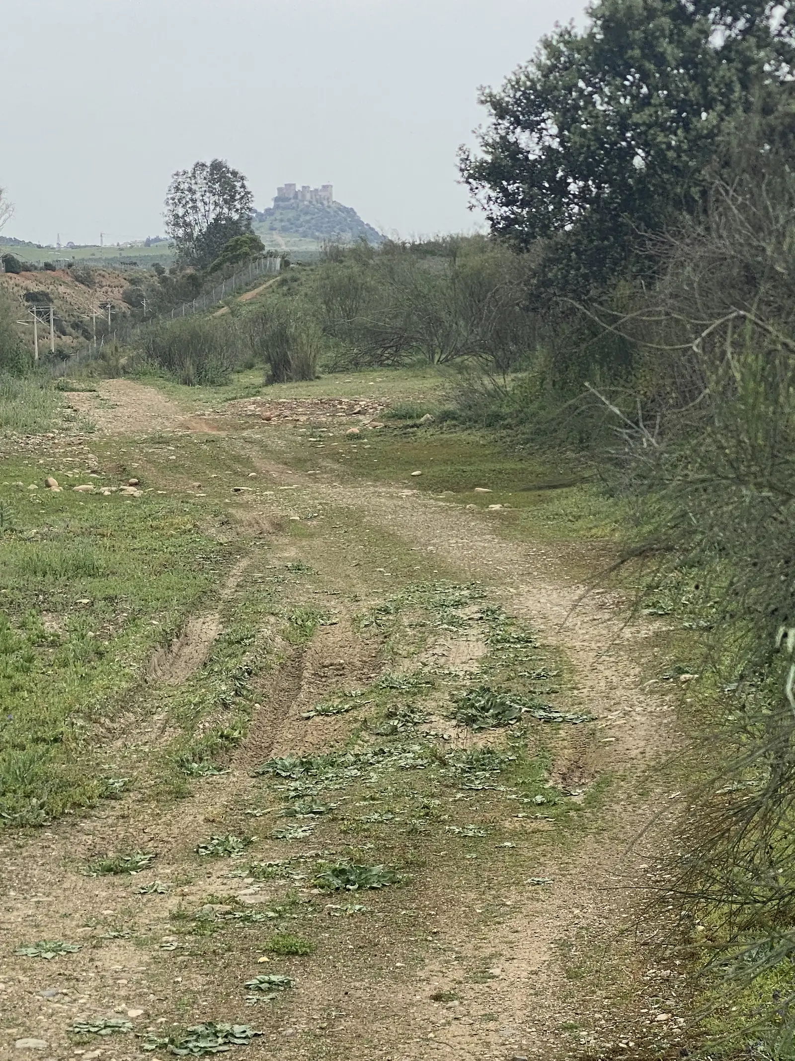 A rutted dirt track running through scrub towards a hilltop castle standing hazy on the skyline.