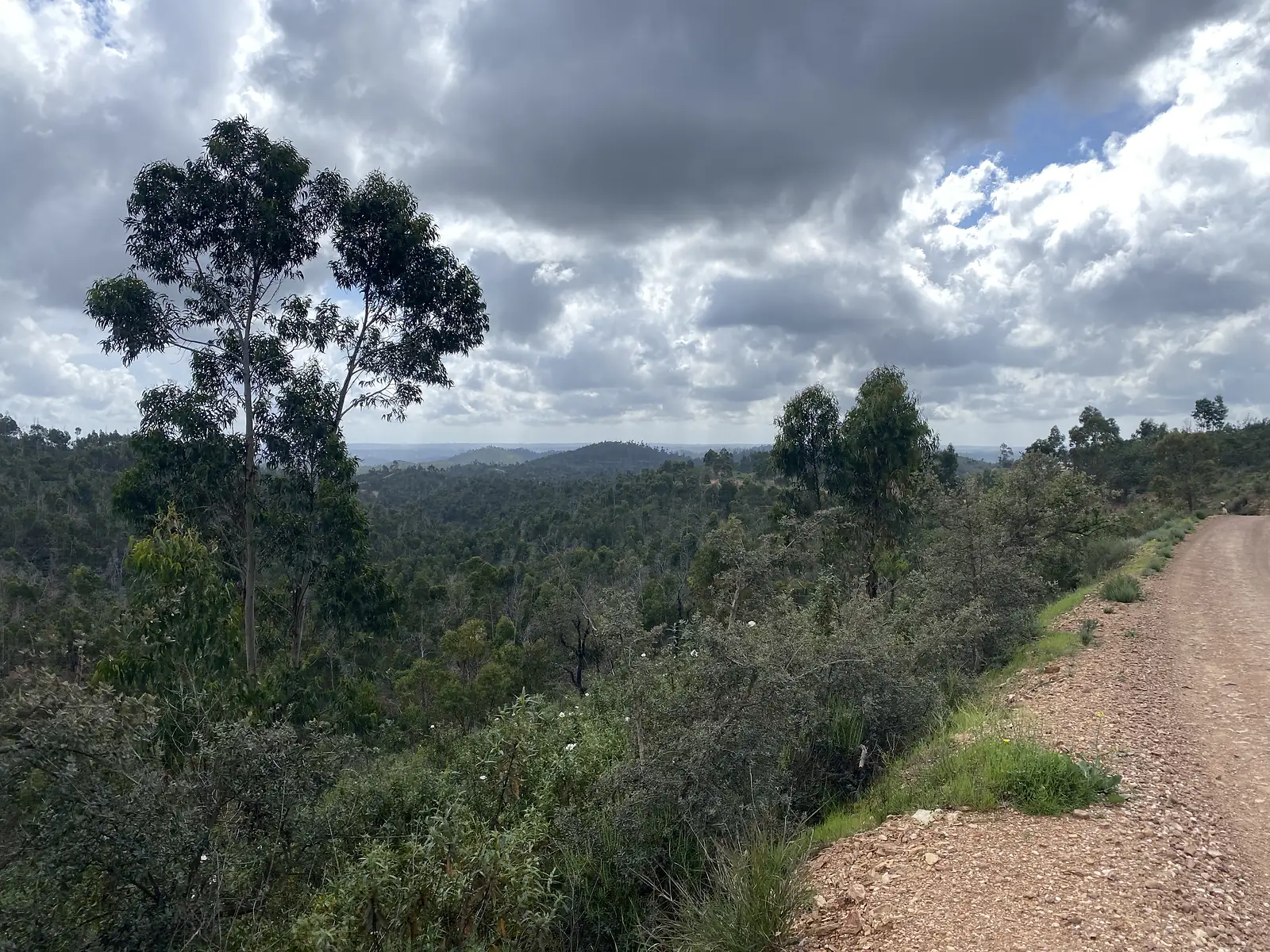 Gravel track running along the edge of a ridge above a broad valley of eucalyptus woodland, with wooded hills rolling to the horizon under piled grey and white cloud.