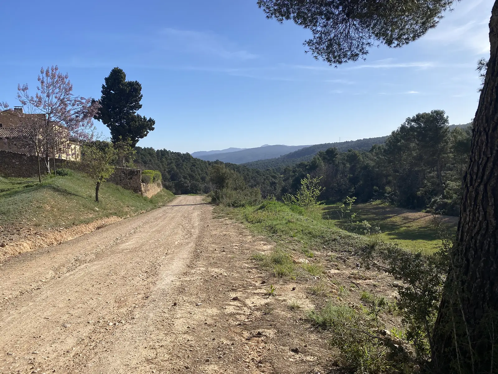 A dirt track running downhill past an old stone-walled farmhouse and a cypress into a valley of pine woods.