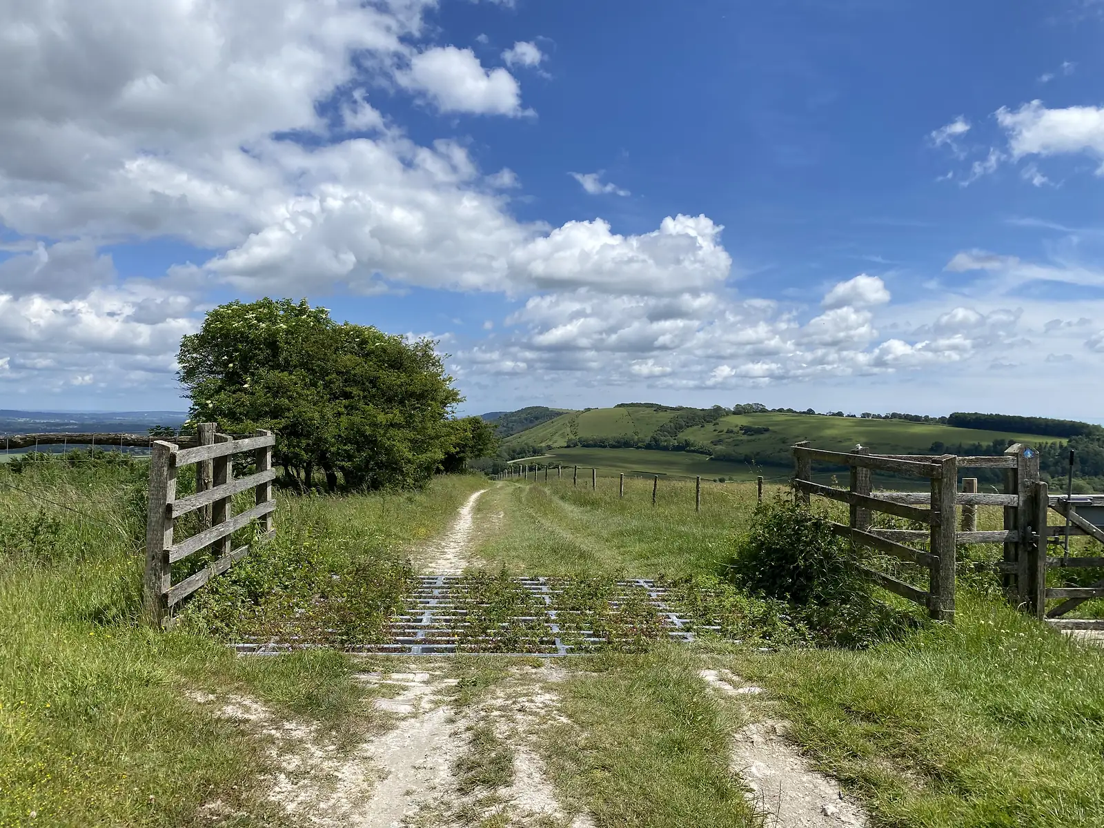 A chalk track running through an open wooden gate onto downland, with a green scarp and fields beyond.