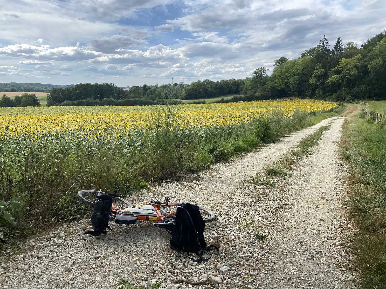 A loaded orange gravel bike lies on its side on a gravel track beside a sunflower field, wooded hills behind under a partly cloudy sky.