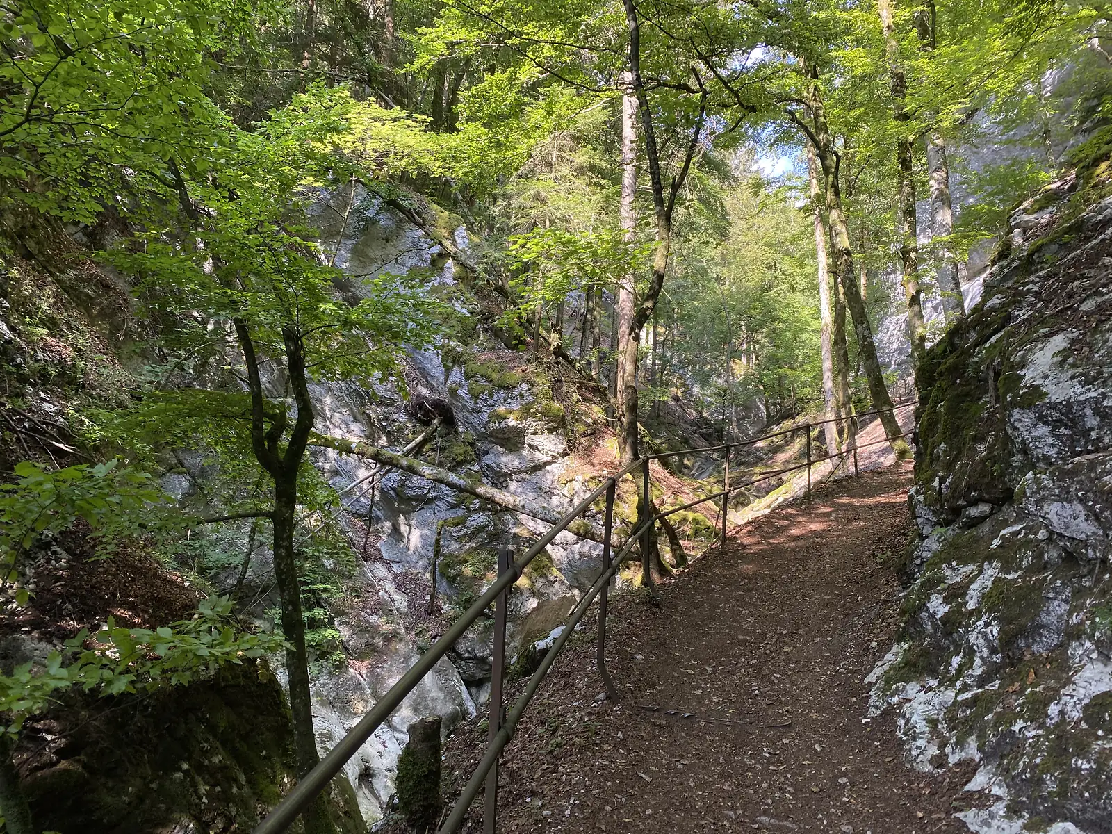 A narrow path cut along a limestone cliff face, guarded by a rusted metal handrail as it threads through a wooded gorge.