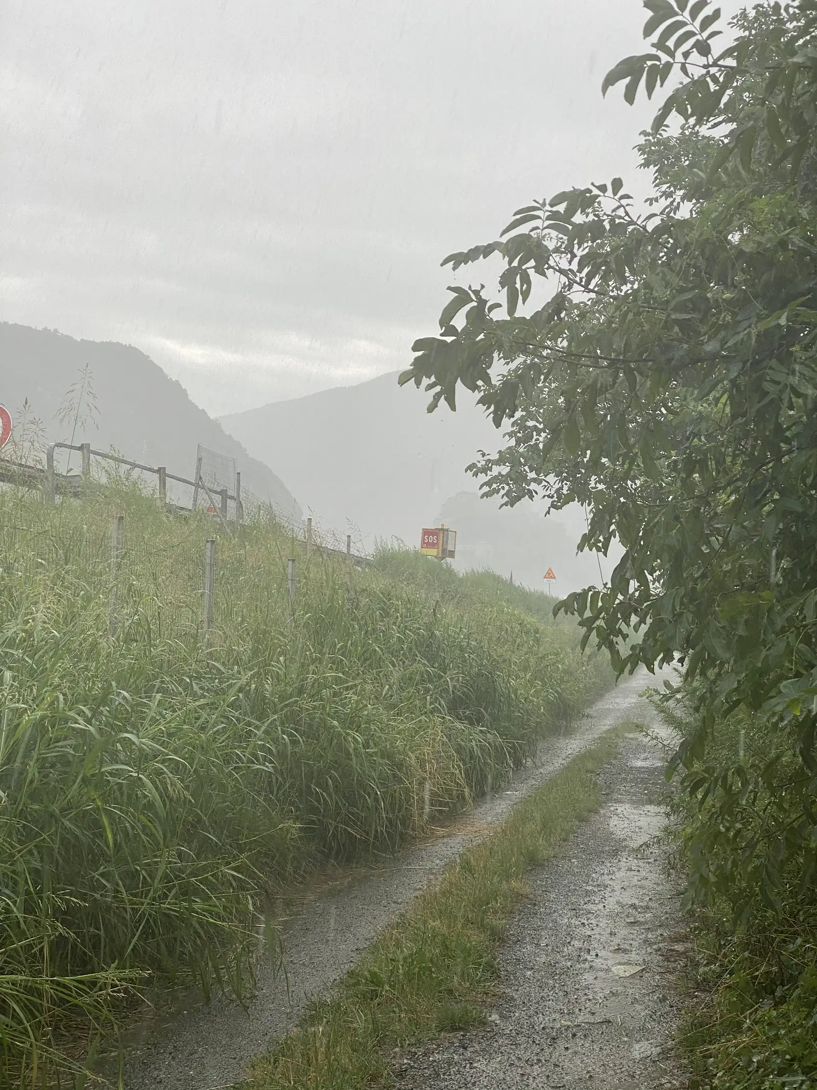 A rain-soaked gravel path running between tall grass verges towards distant hazy mountains, with red road-hazard signs visible ahead.