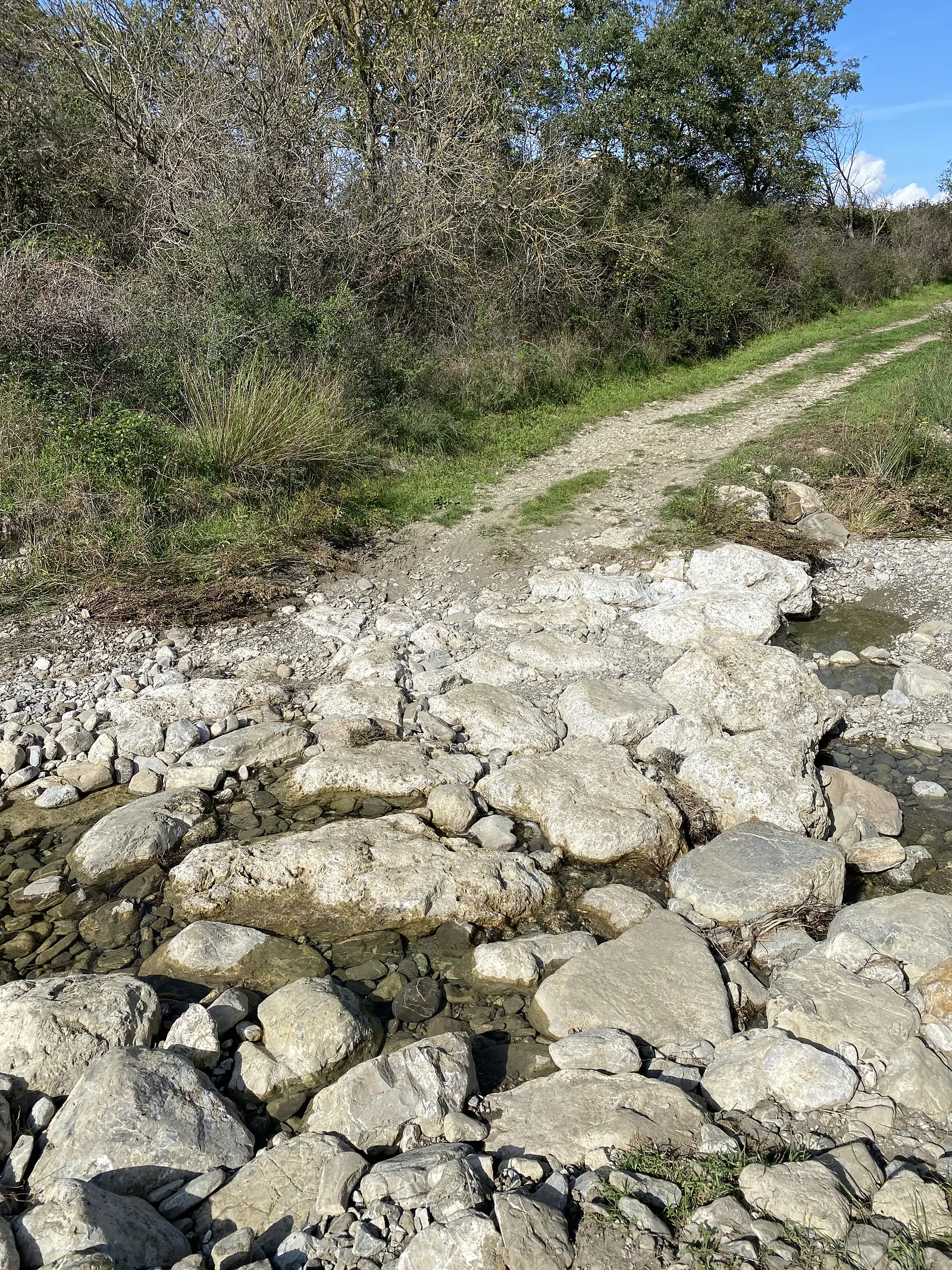 A deeply eroded gully lined with large pale limestone boulders cutting through the Tuscan countryside, with a grassy path and a holm oak tree visible on the bank above.