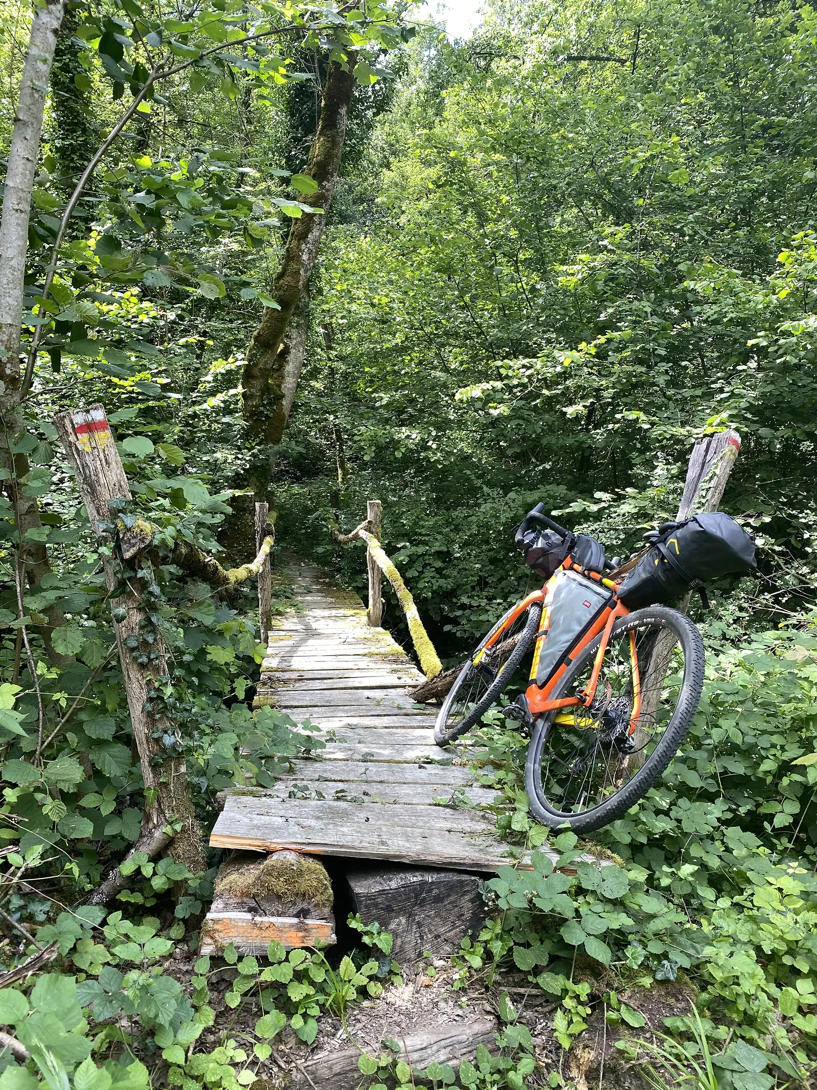 A loaded orange gravel bike leans against the mossy handrail of a narrow wooden footbridge crossing a stream in the woods, red-and-white waymarks painted on posts either side.