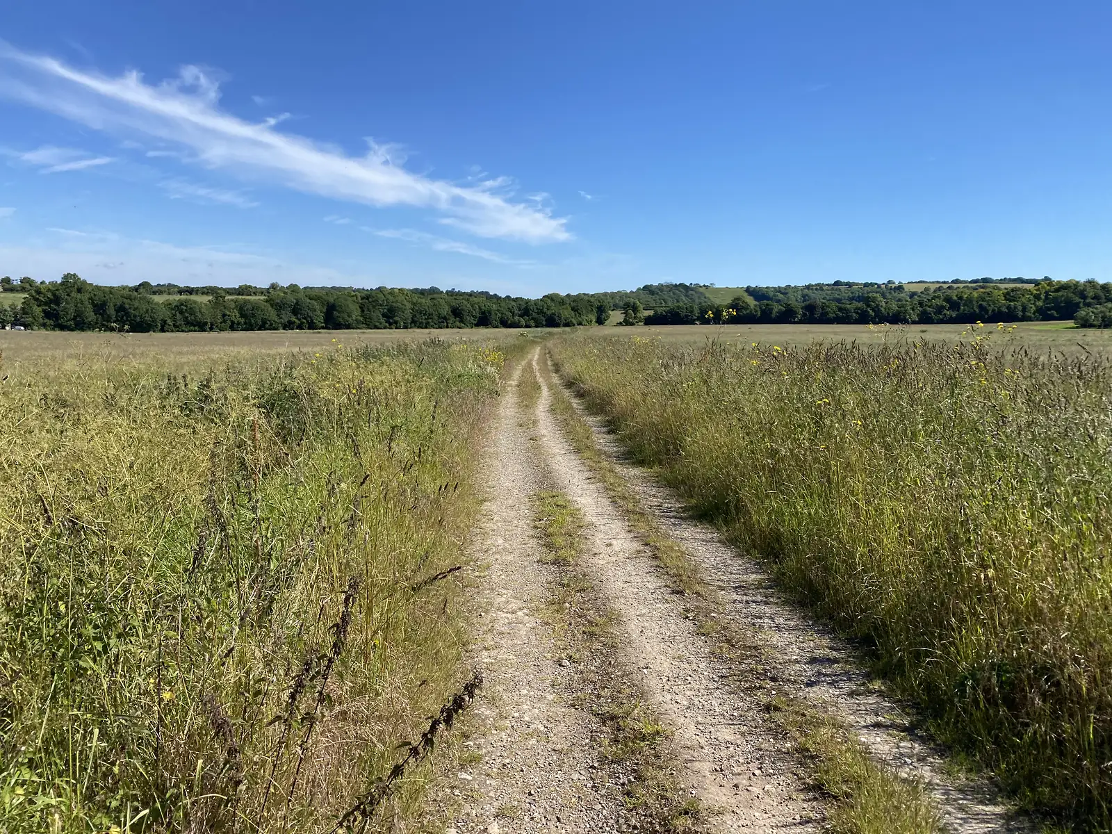 A chalk-and-grass double track running away between wide hay meadows towards a wooded ridge under a blue sky.