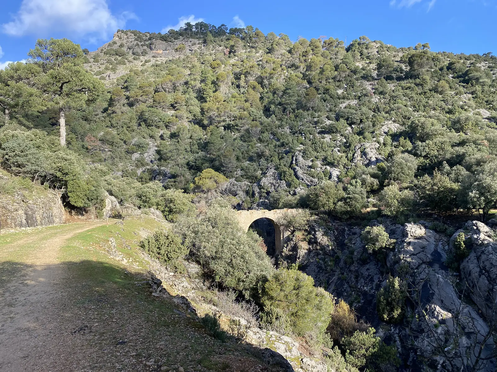 A single-arched stone bridge carrying a track over a rocky gorge on a pine-covered mountainside.